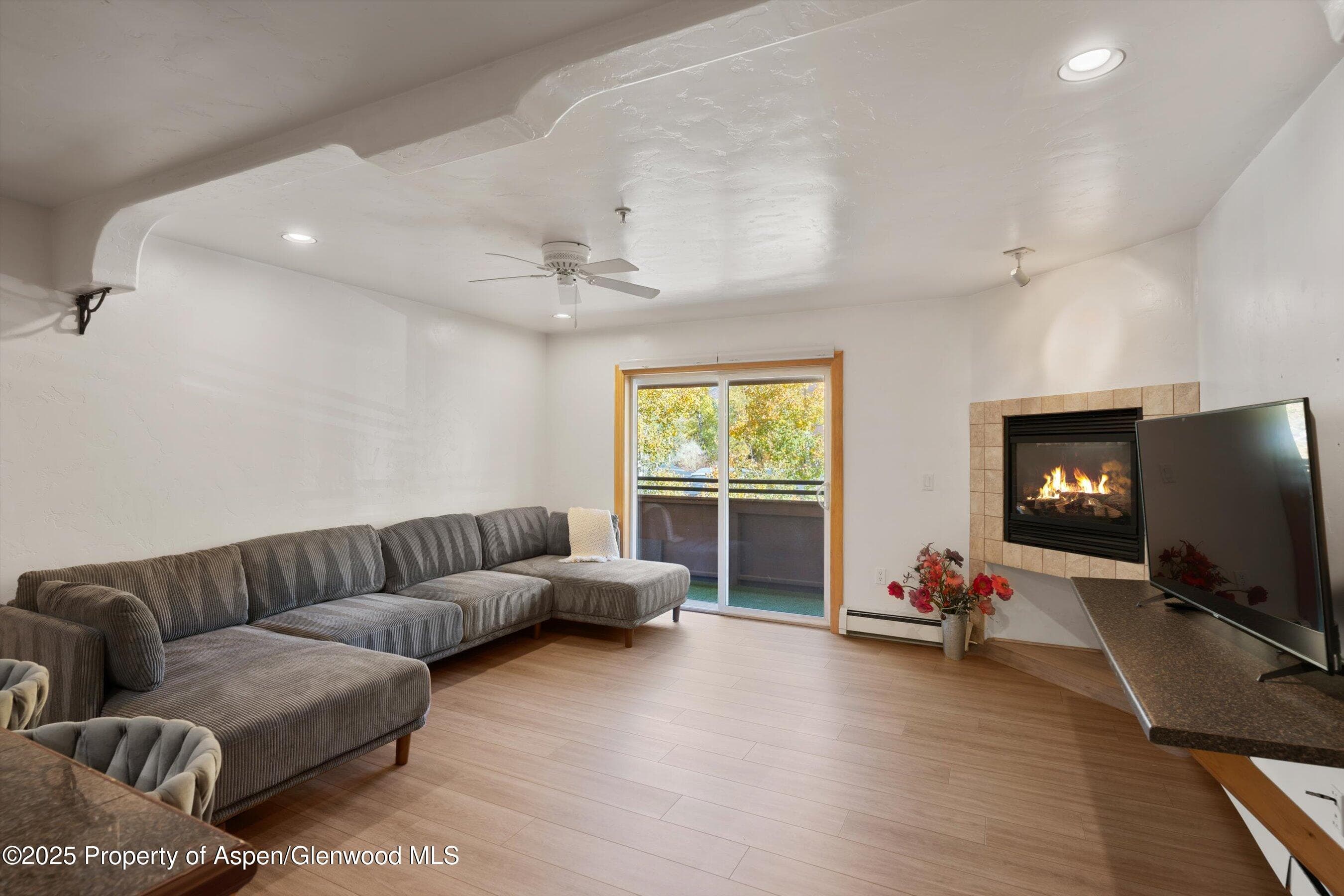 326 Midland Avenue 306, Aspen, CO 81611 - Photo 3