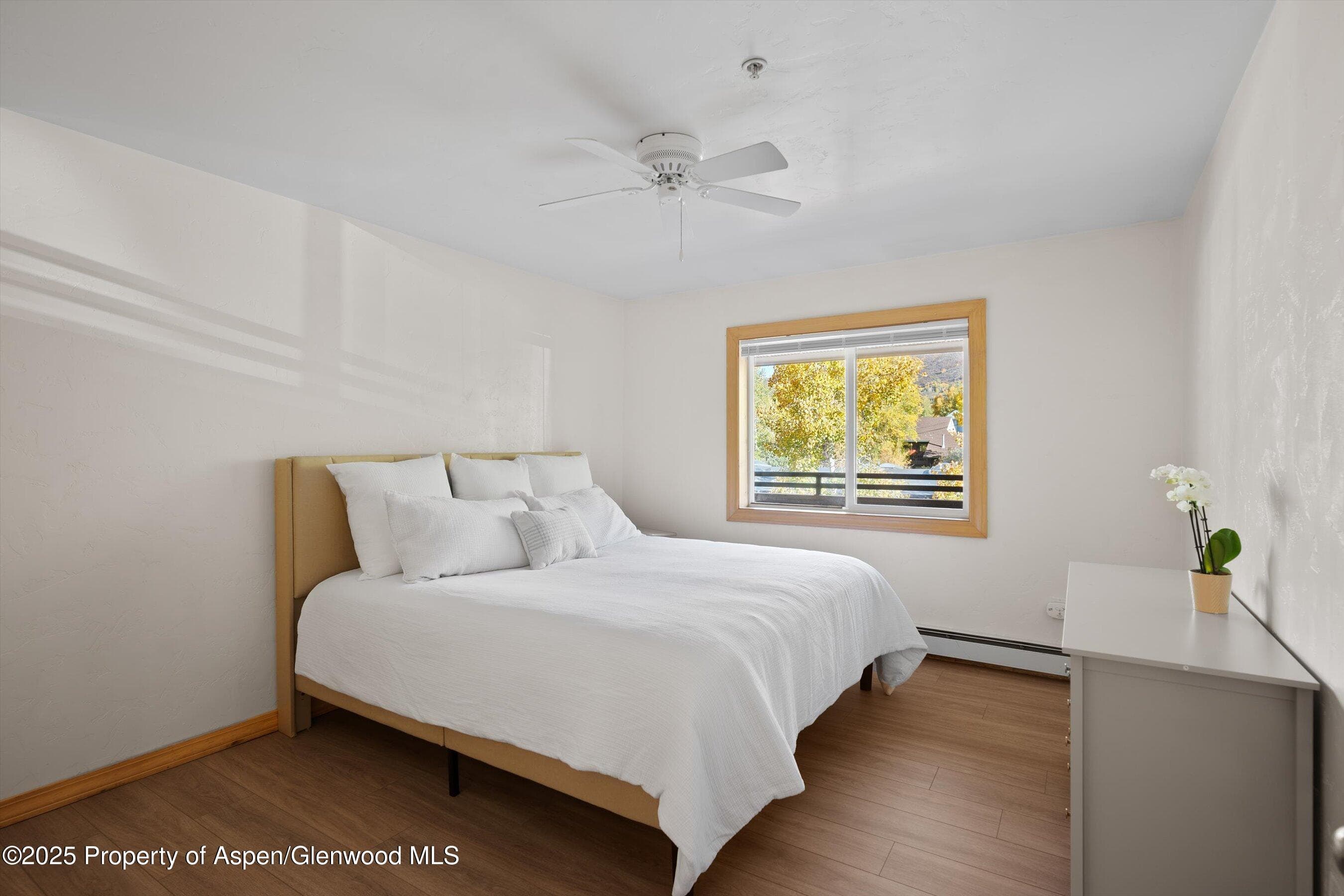 326 Midland Avenue 306, Aspen, CO 81611 - Photo 5
