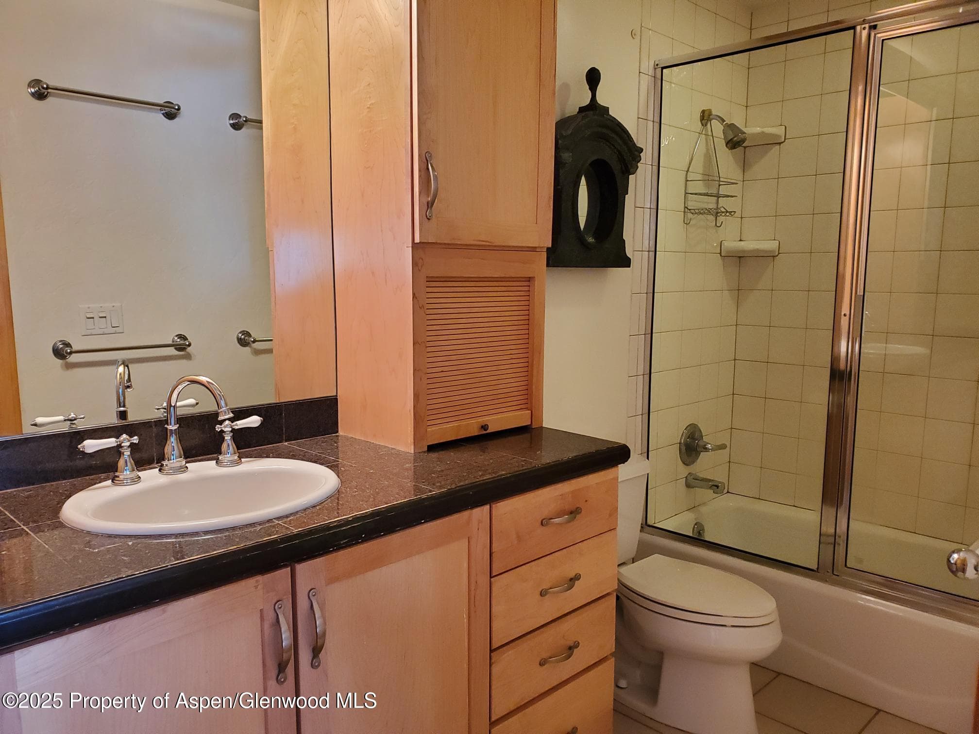 326 Midland Avenue 306, Aspen, CO 81611 - Photo 8