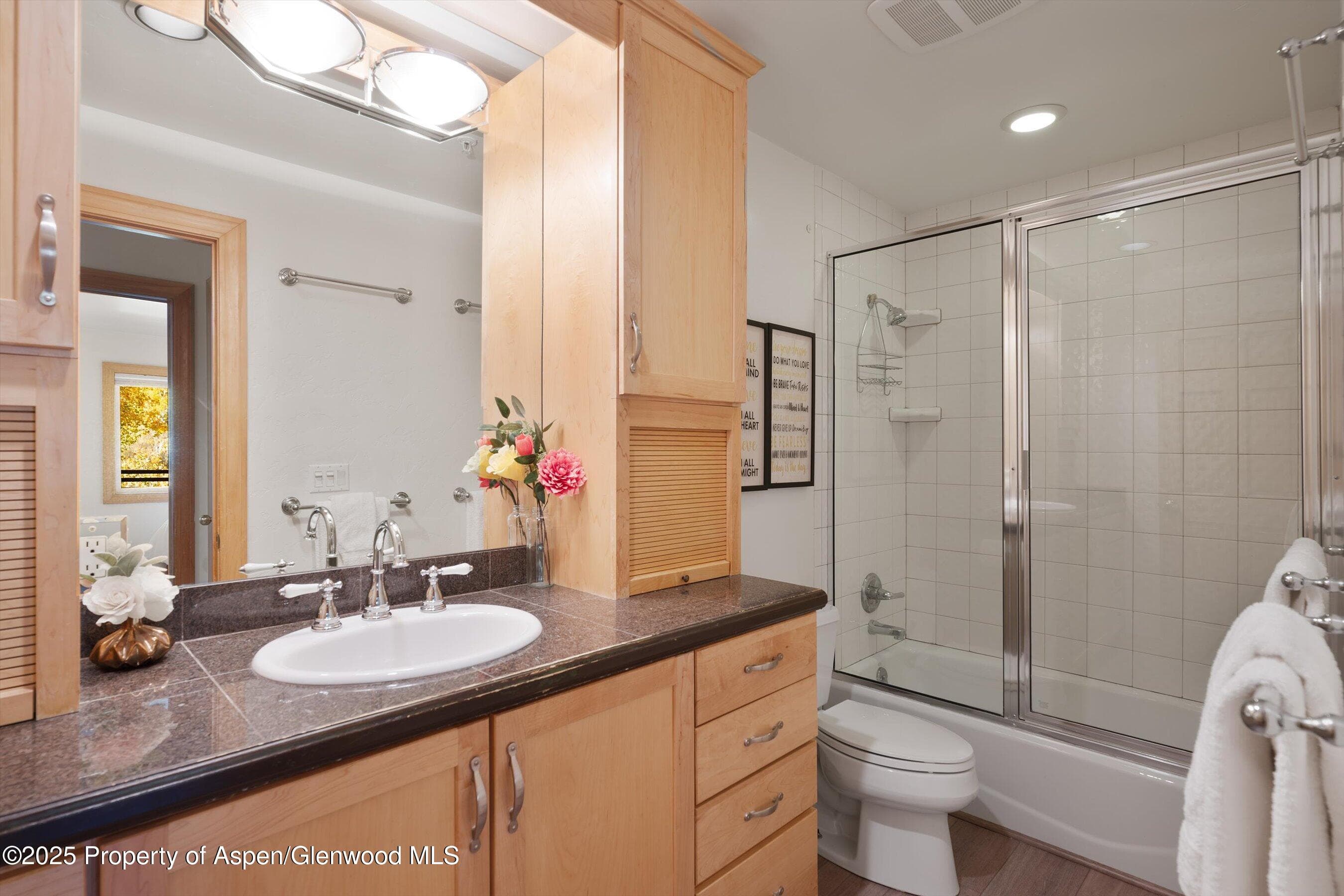 326 Midland Avenue 306, Aspen, CO 81611 - Photo 9