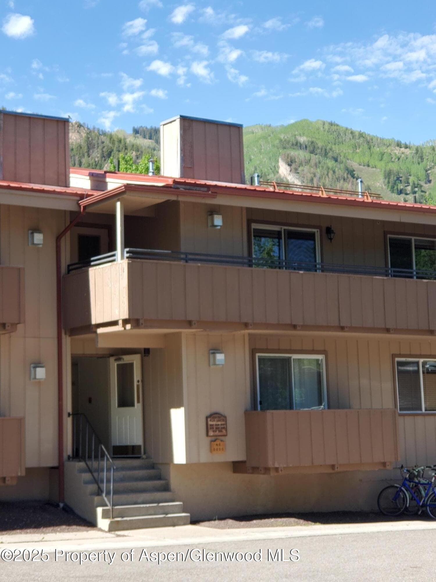 326 Midland Avenue 306, Aspen, CO 81611 - Photo 10