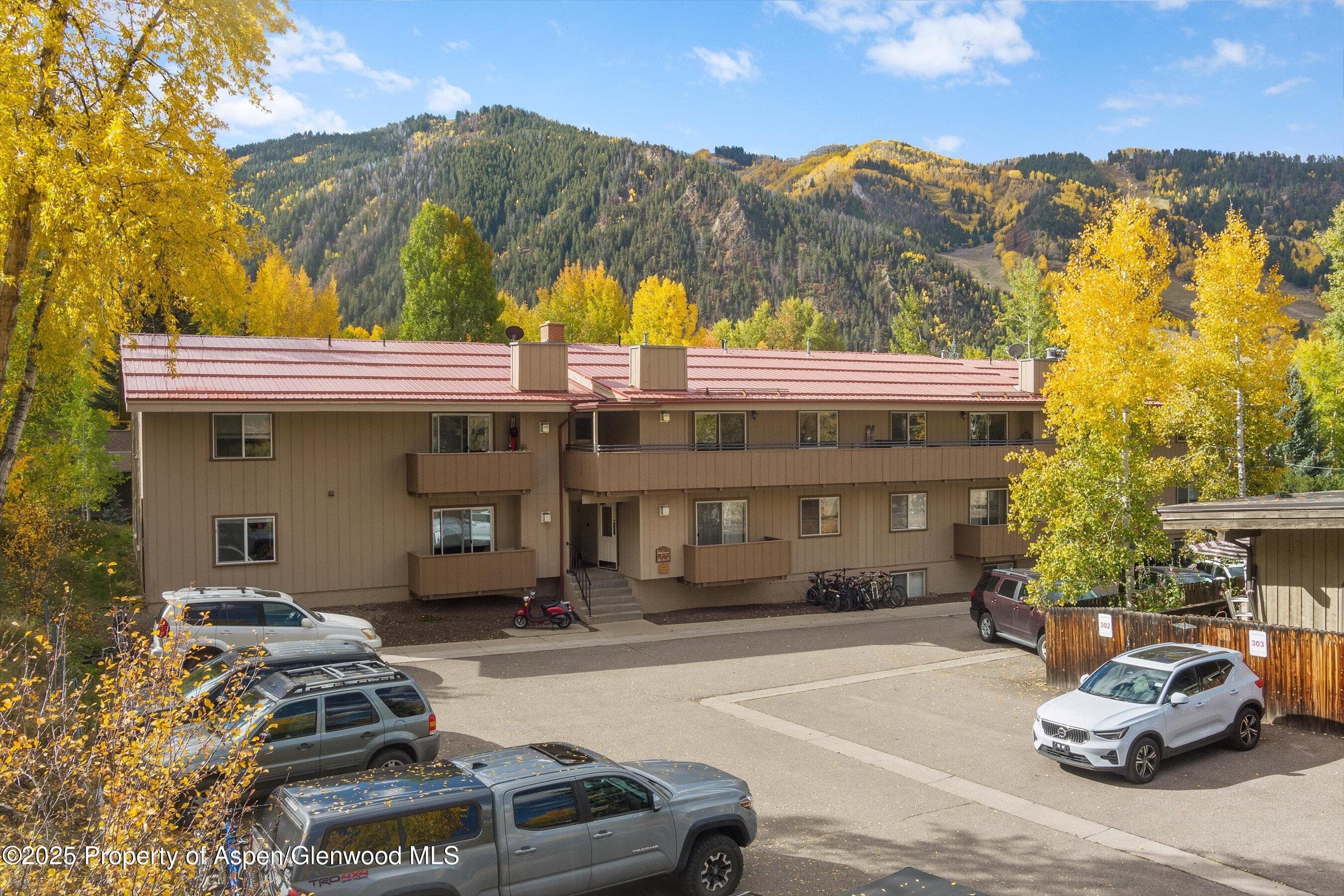 326 Midland Avenue 306, Aspen, CO 81611 - Photo 12