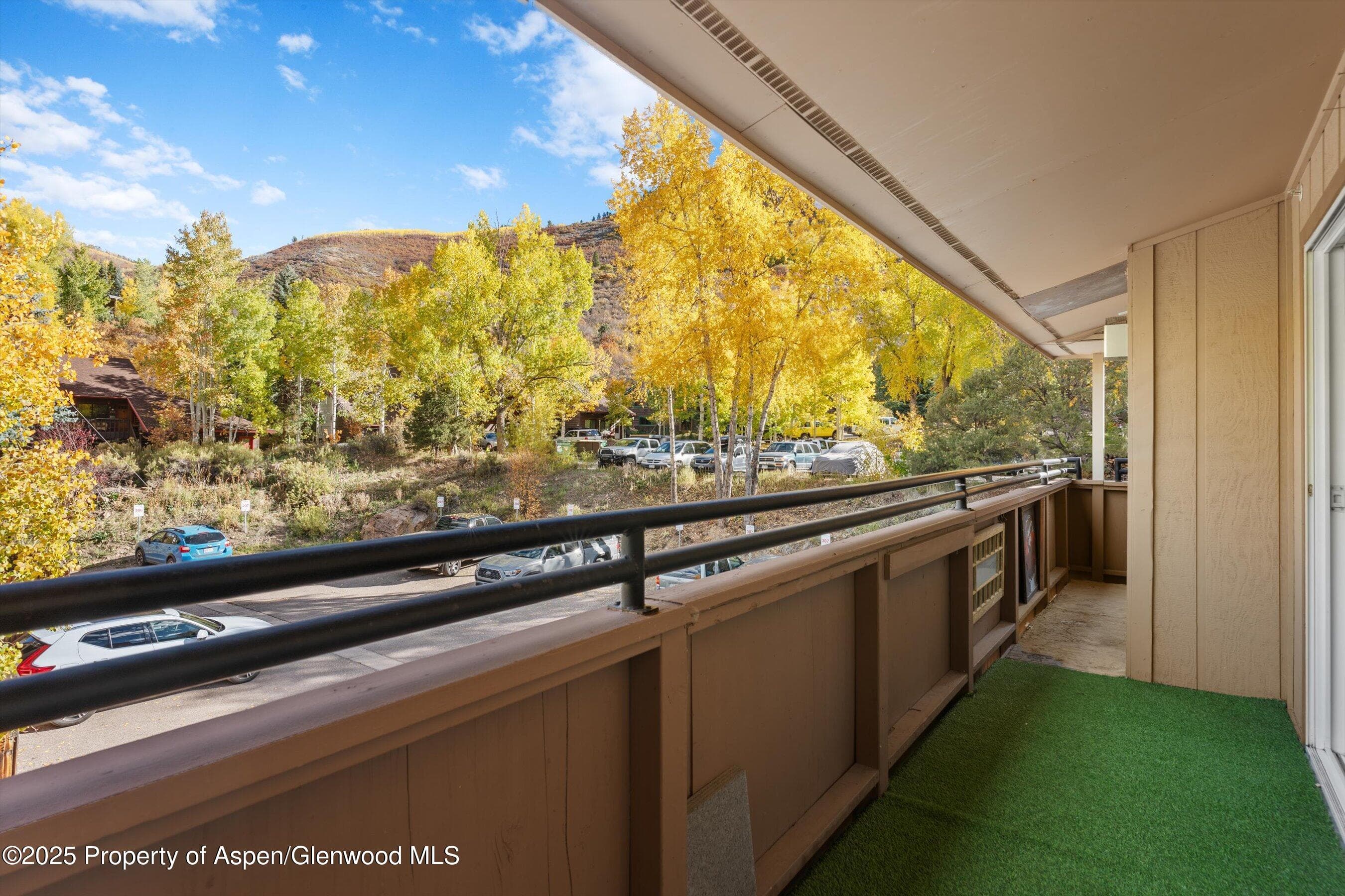 326 Midland Avenue 306, Aspen, CO 81611 - Photo 14