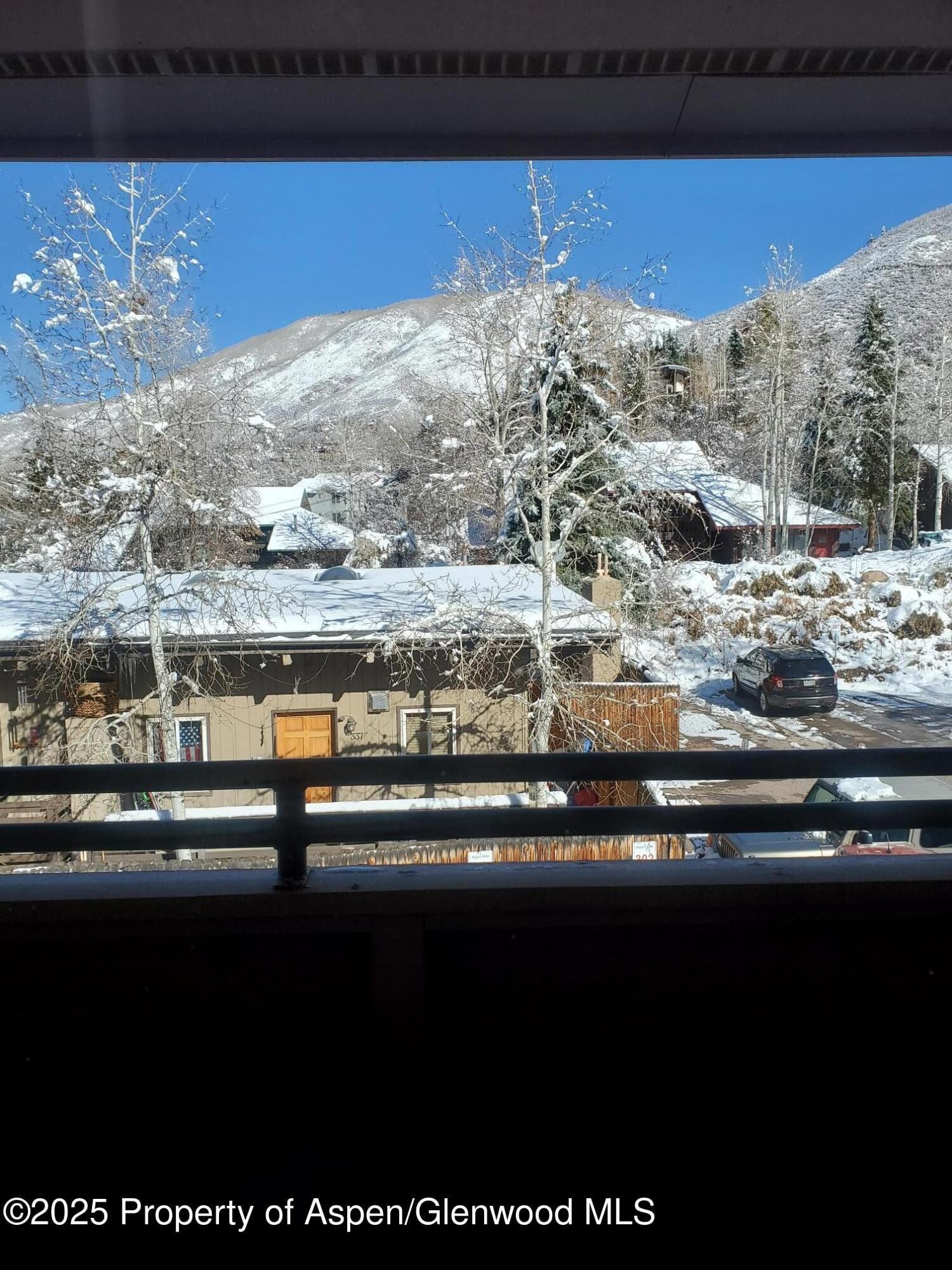326 Midland Avenue 306, Aspen, CO 81611 - Photo 15