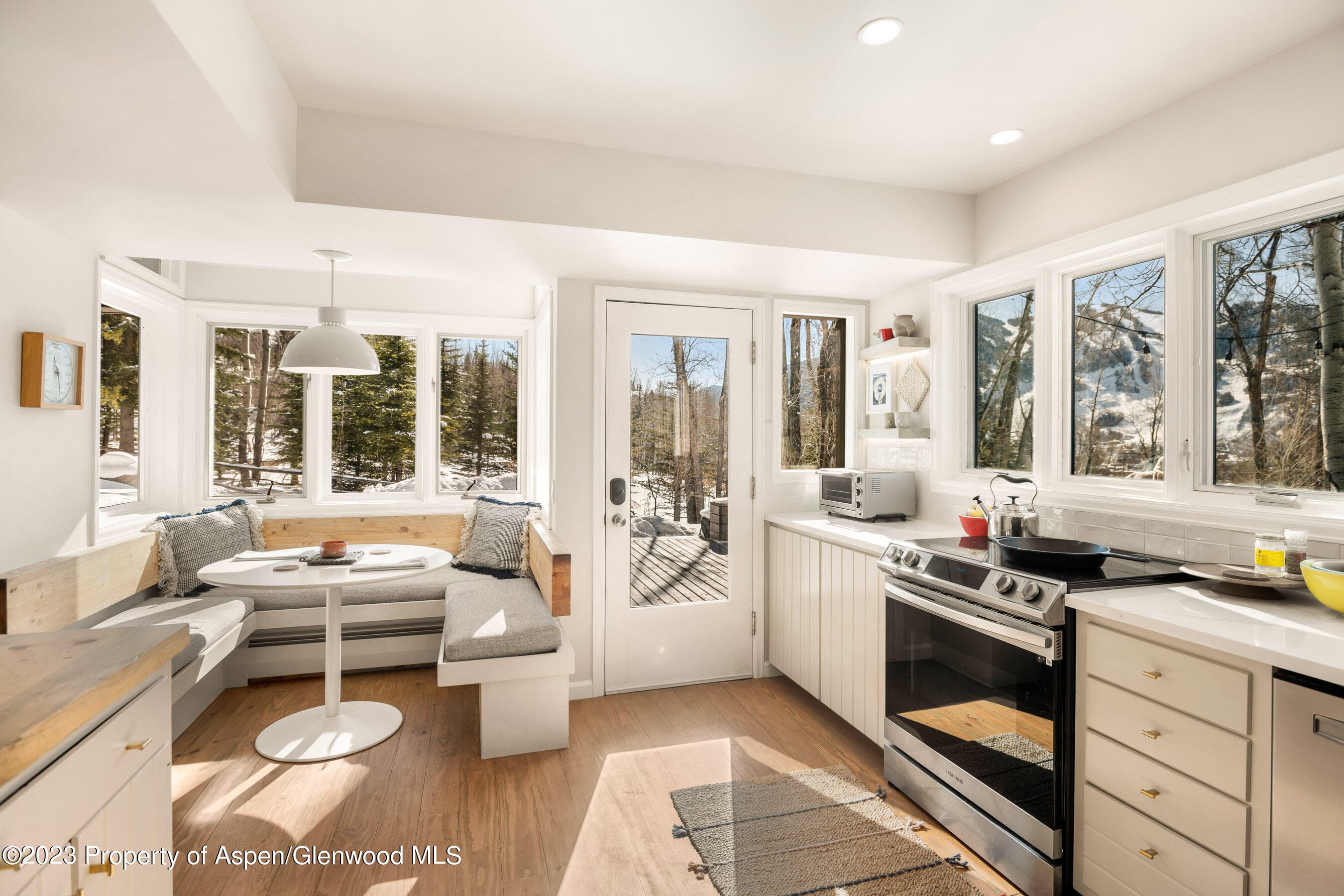 1036 Red Mountain Road, Aspen, CO 81611 - Photo 3