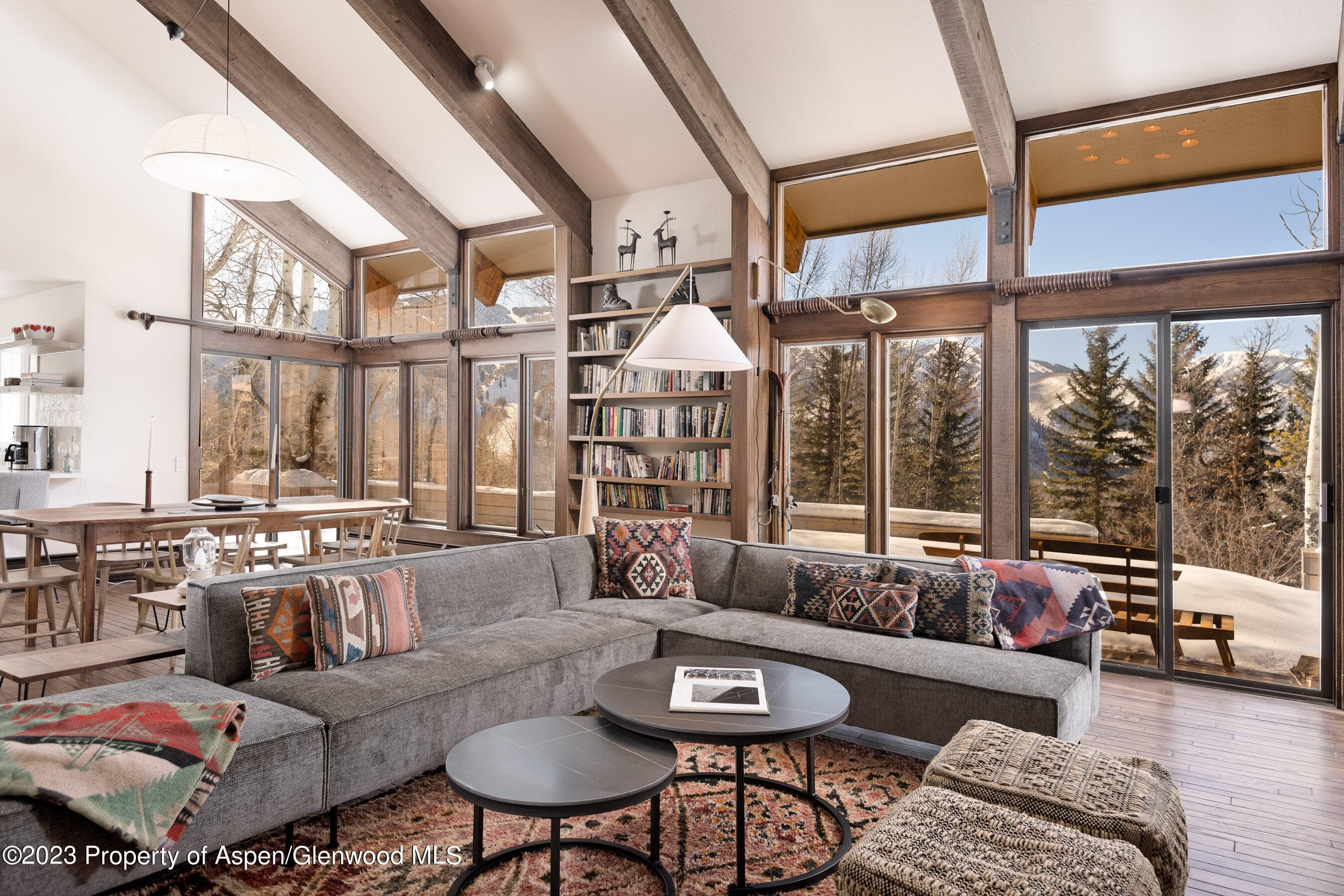 1036 Red Mountain Road, Aspen, CO 81611 - Photo 9