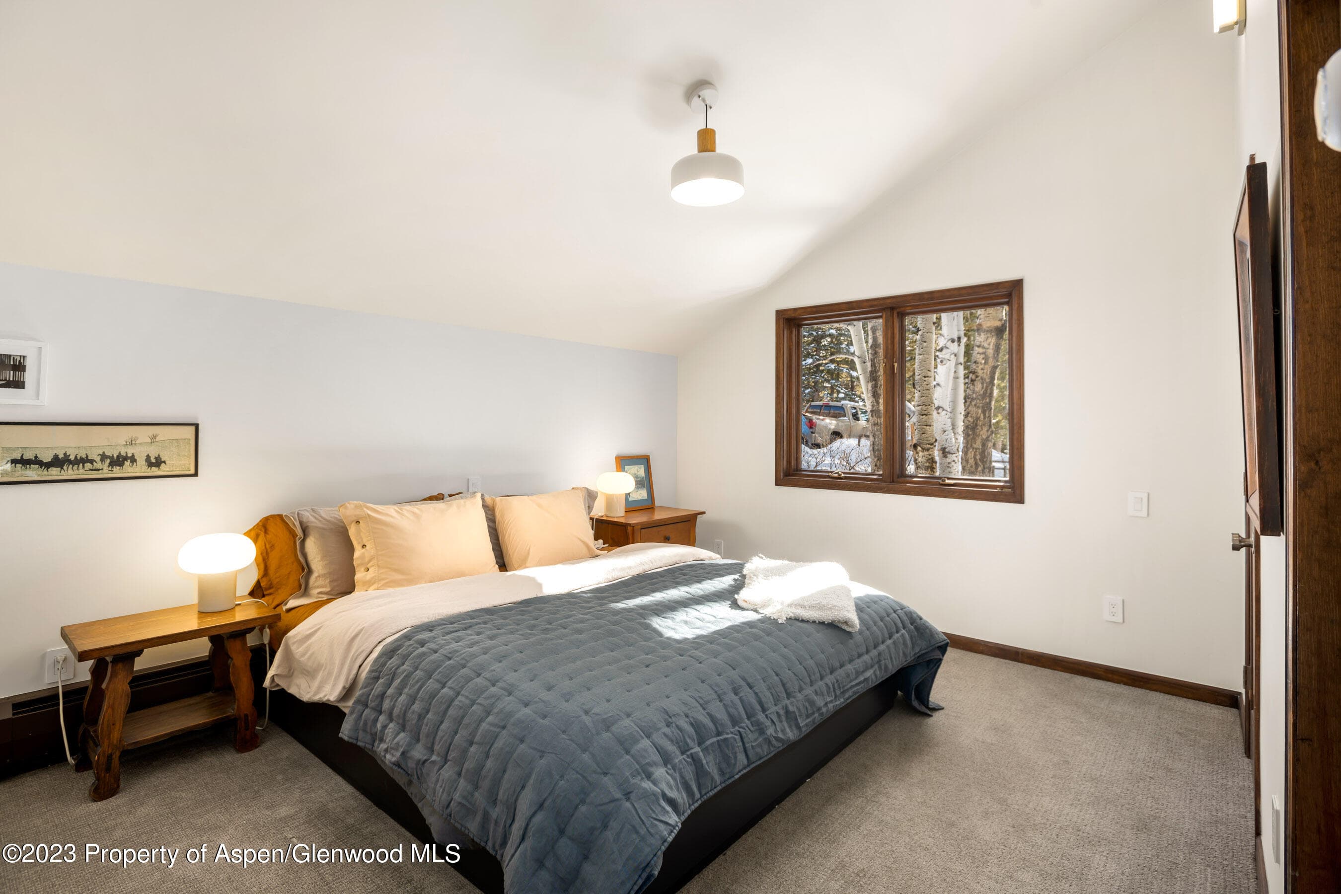 1036 Red Mountain Road, Aspen, CO 81611 - Photo 13