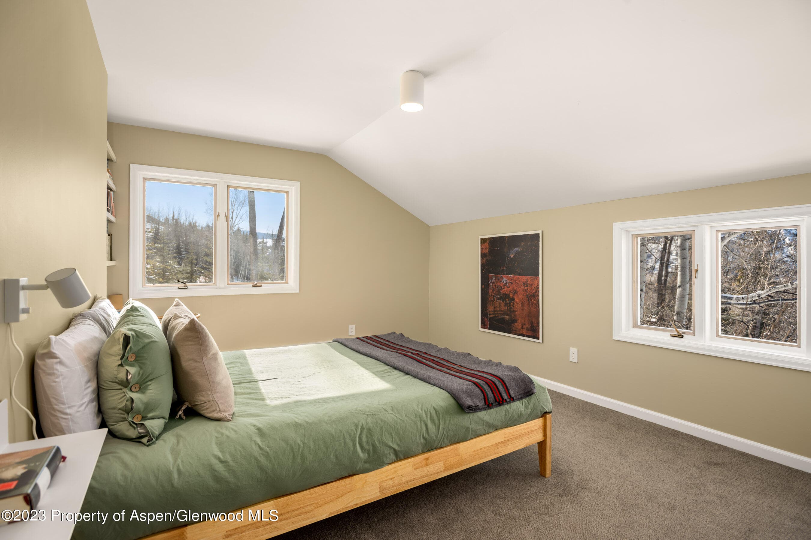 1036 Red Mountain Road, Aspen, CO 81611 - Photo 16