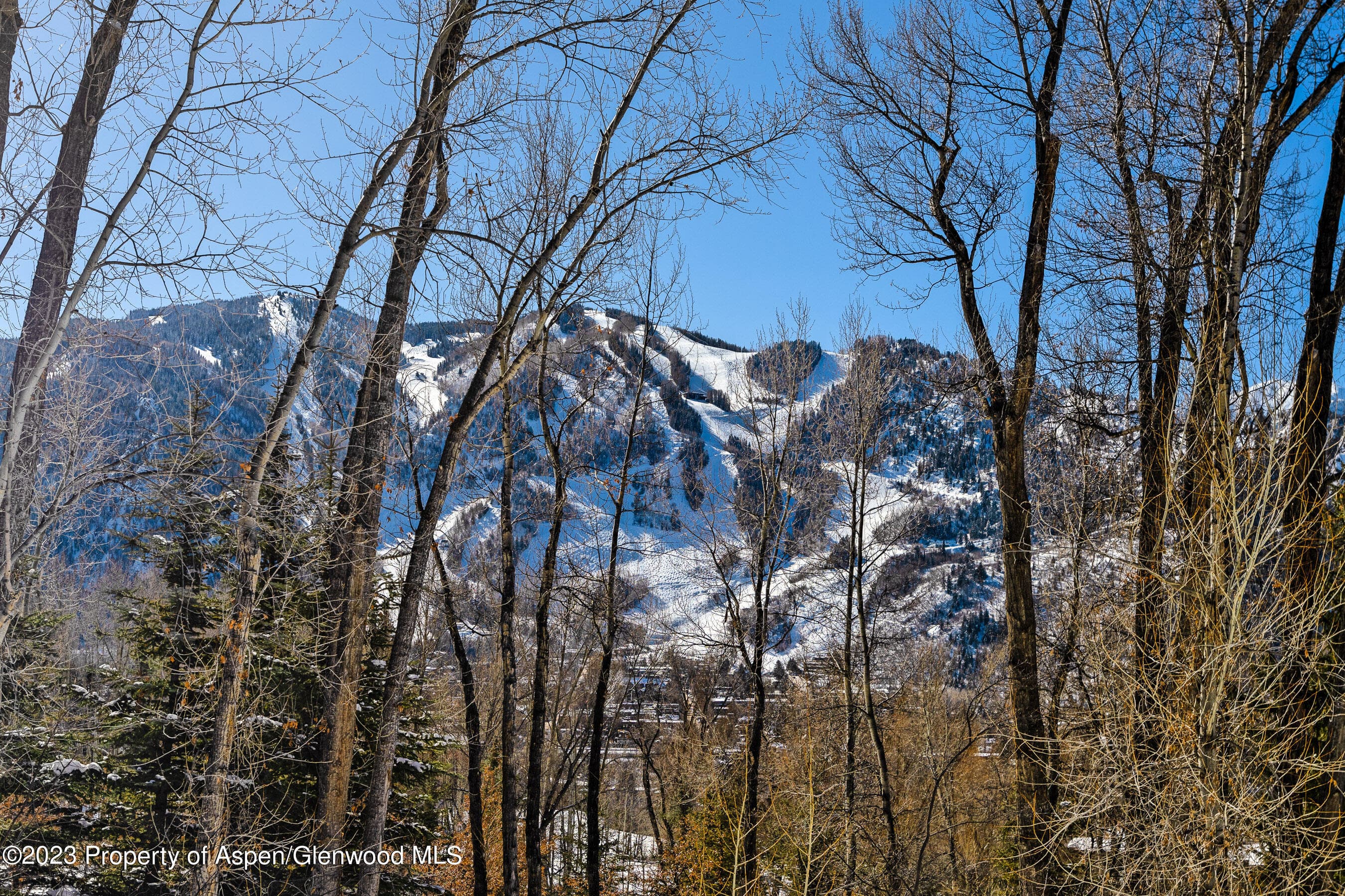 1036 Red Mountain Road, Aspen, CO 81611 - Photo 22