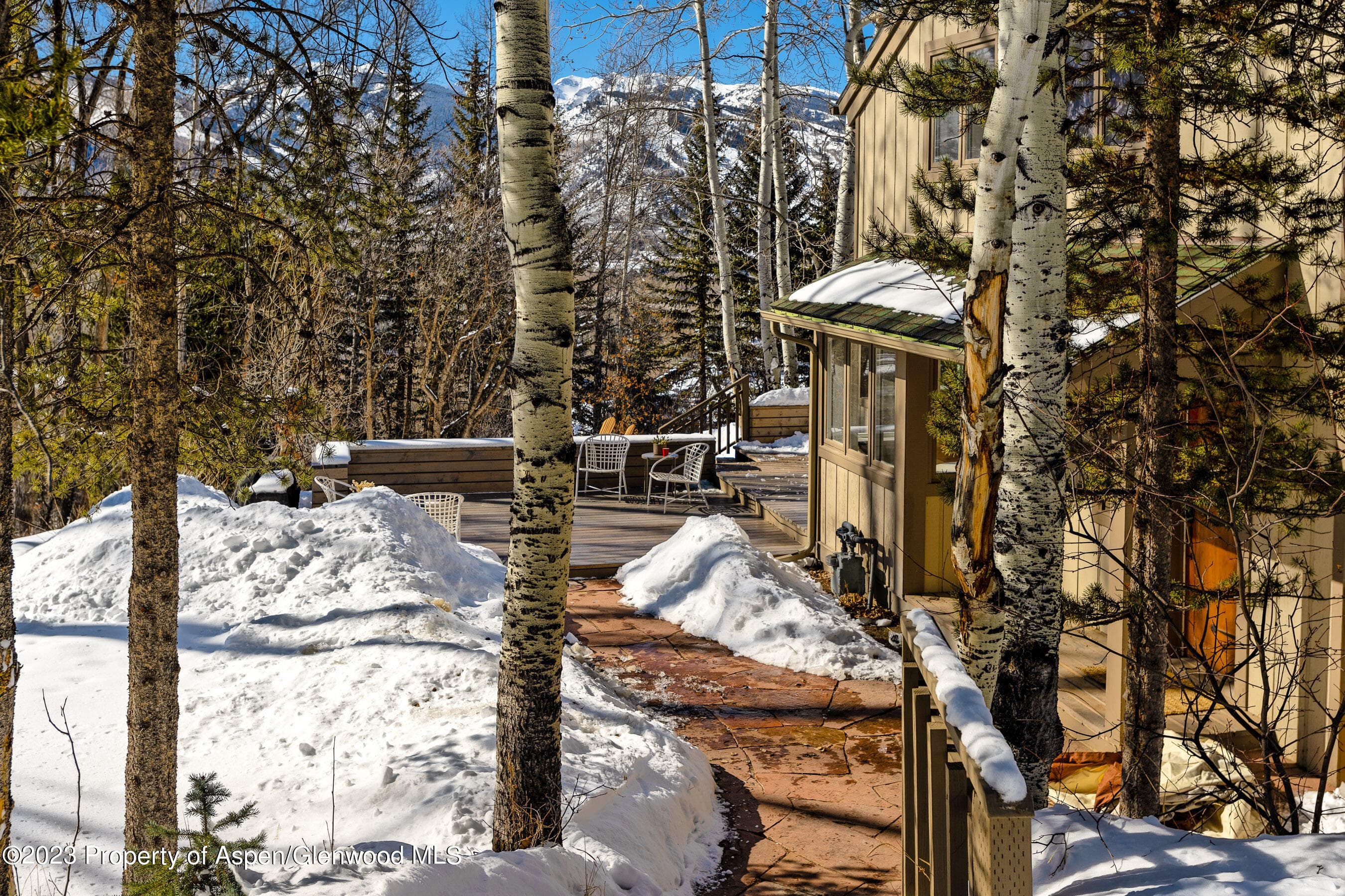 1036 Red Mountain Road, Aspen, CO 81611 - Photo 24