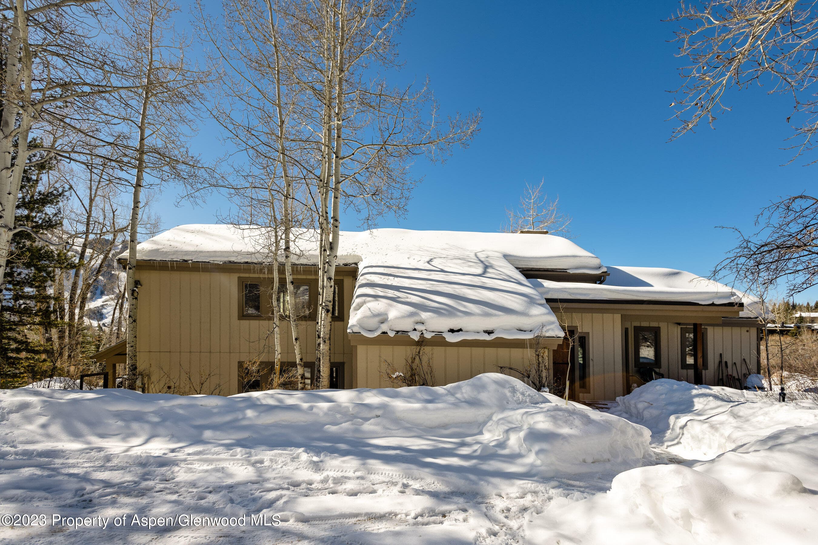 1036 Red Mountain Road, Aspen, CO 81611 - Photo 25