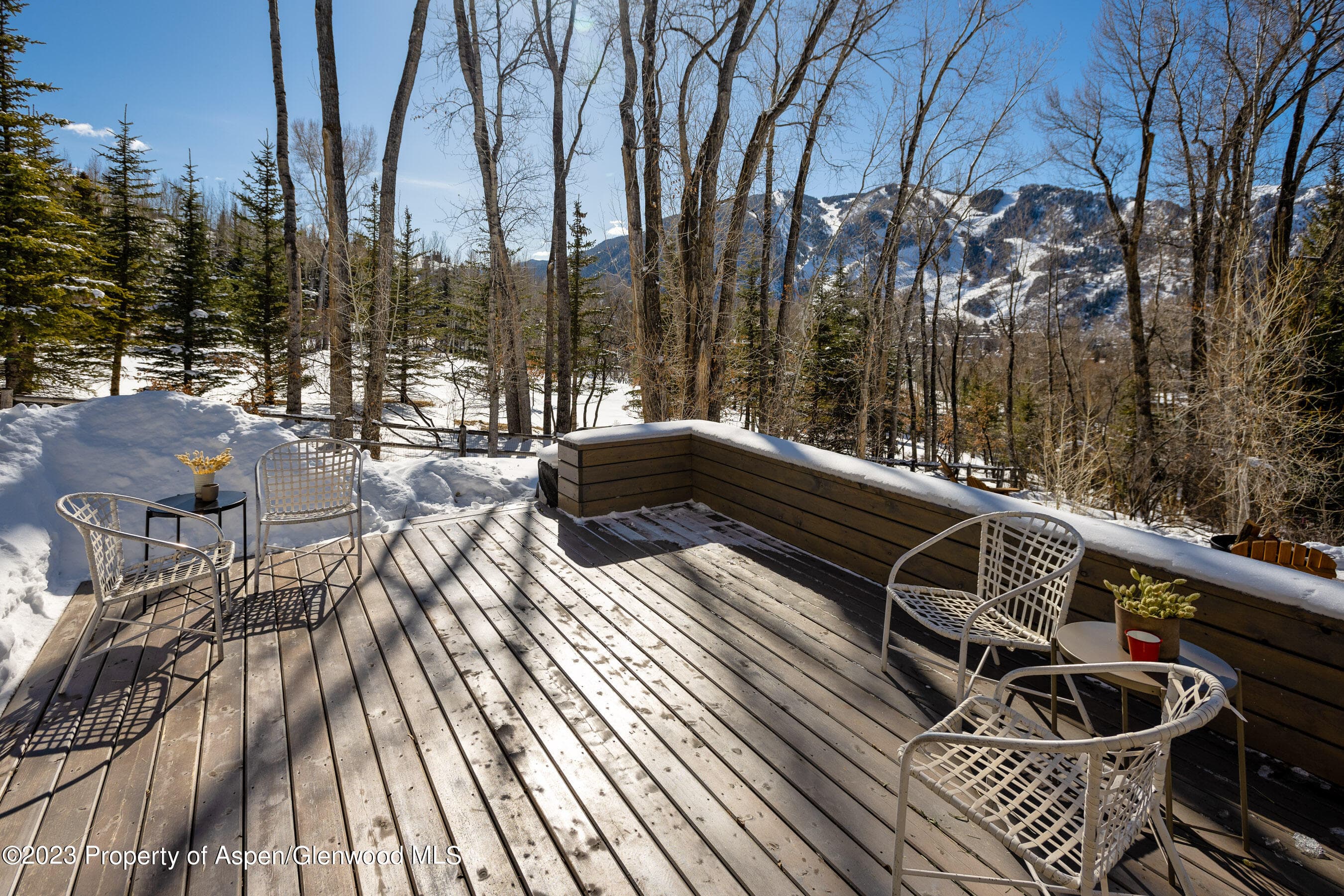 1036 Red Mountain Road, Aspen, CO 81611 - Photo 26