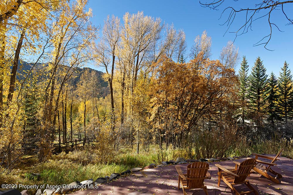 1036 Red Mountain Road, Aspen, CO 81611 - Photo 27