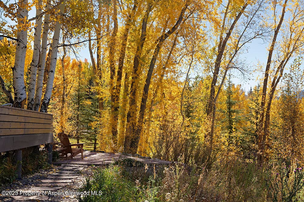 1036 Red Mountain Road, Aspen, CO 81611 - Photo 30