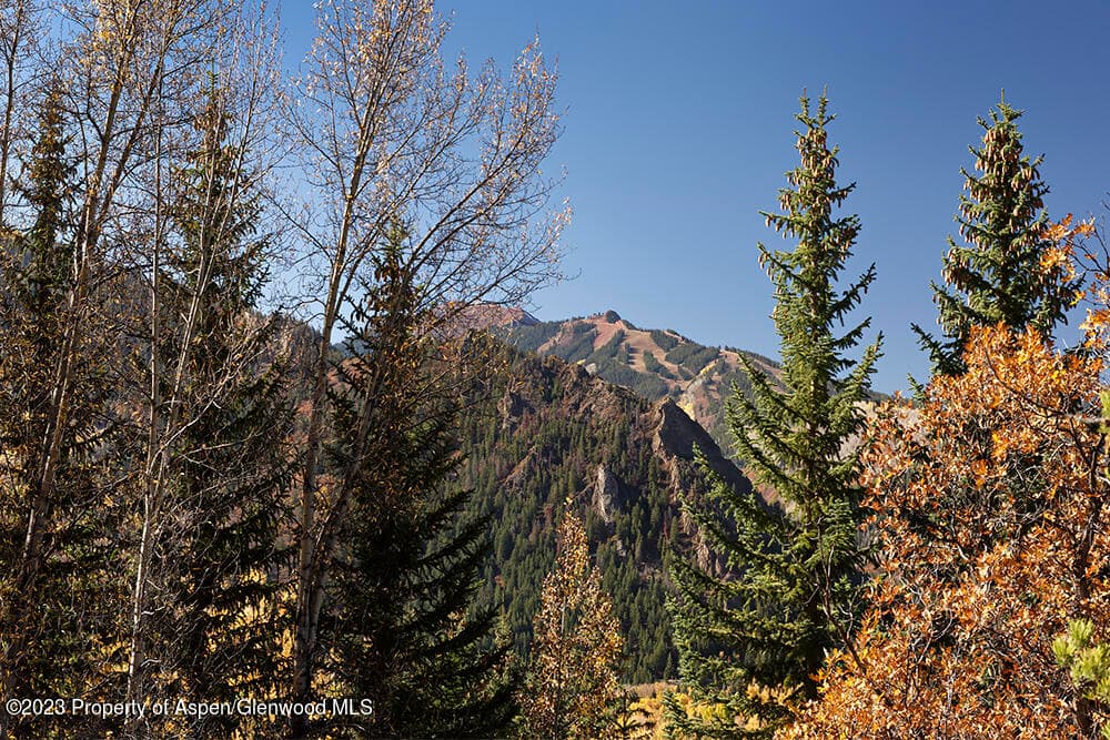 1036 Red Mountain Road, Aspen, CO 81611 - Photo 33