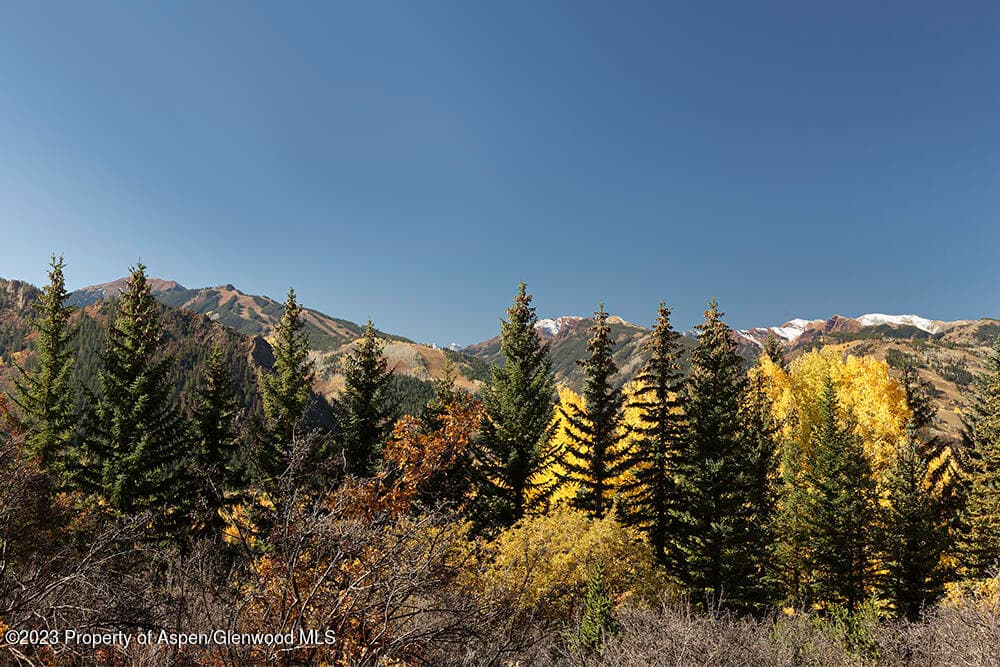 1036 Red Mountain Road, Aspen, CO 81611 - Photo 34