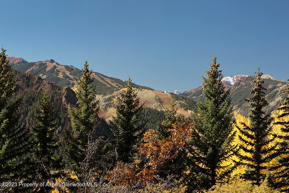 1036 Red Mountain Road, Aspen, CO 81611 - Photo 36