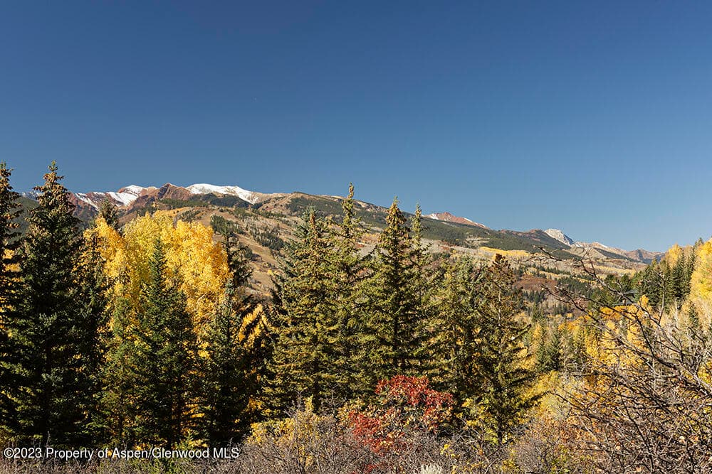 1036 Red Mountain Road, Aspen, CO 81611 - Photo 37