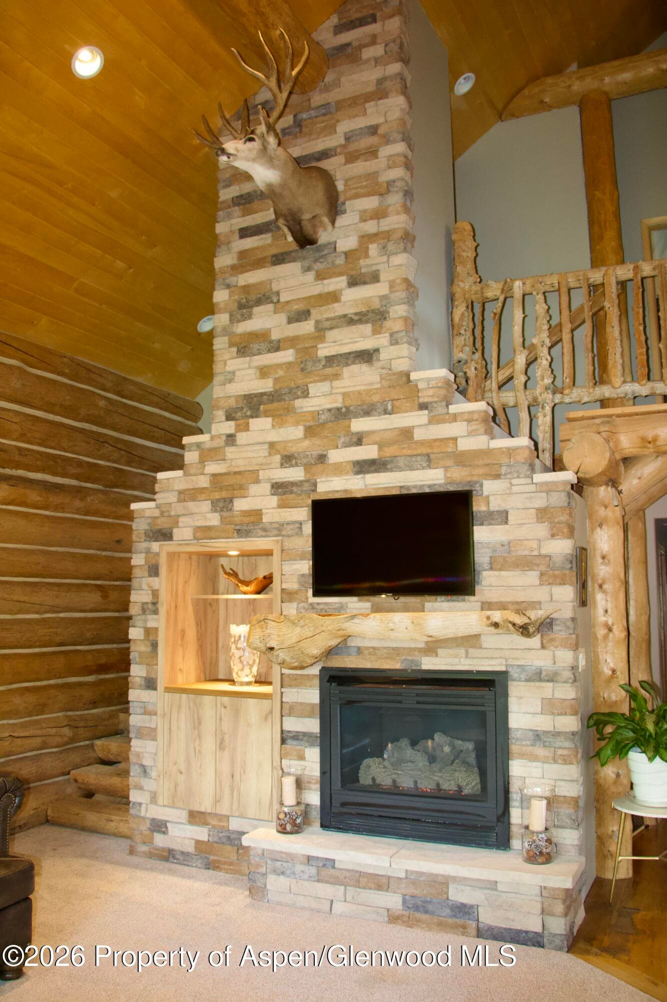 162 Original Road, Basalt, CO 81621 - Photo 10