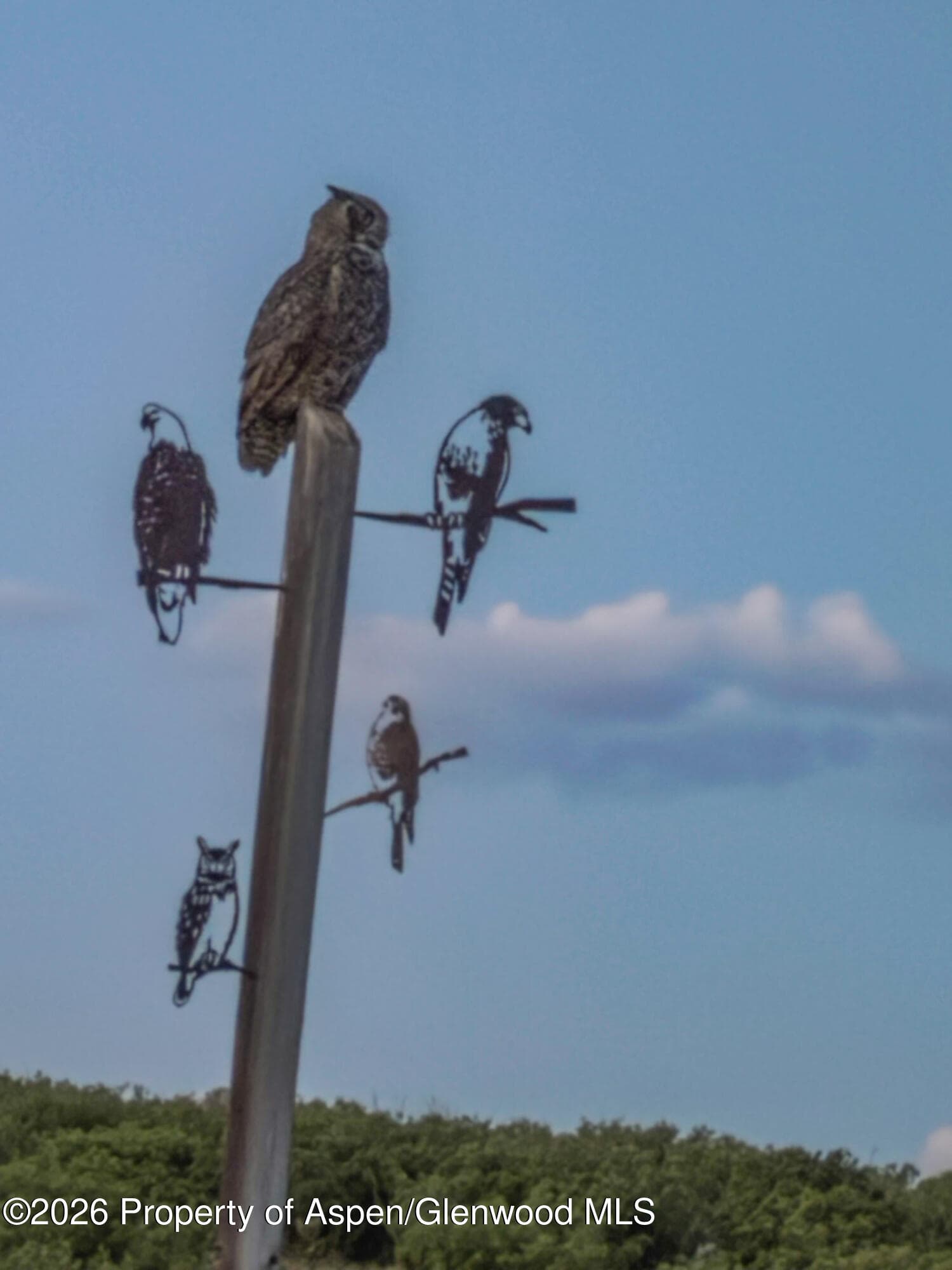 208 Grange Lane, Carbondale, CO 81623 - Photo 32