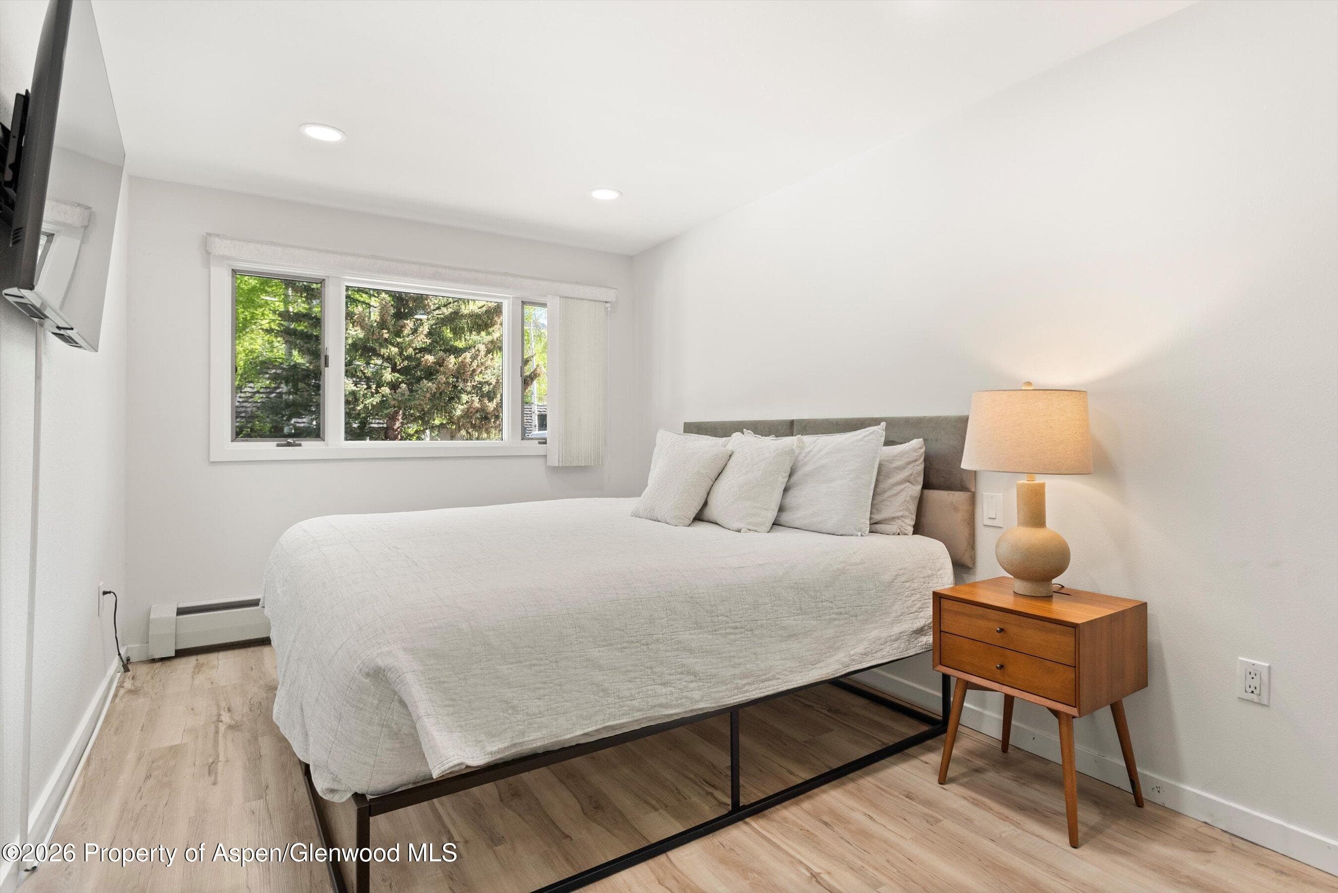 100 E Dean Street 1d, Aspen, CO 81611 - Photo 11