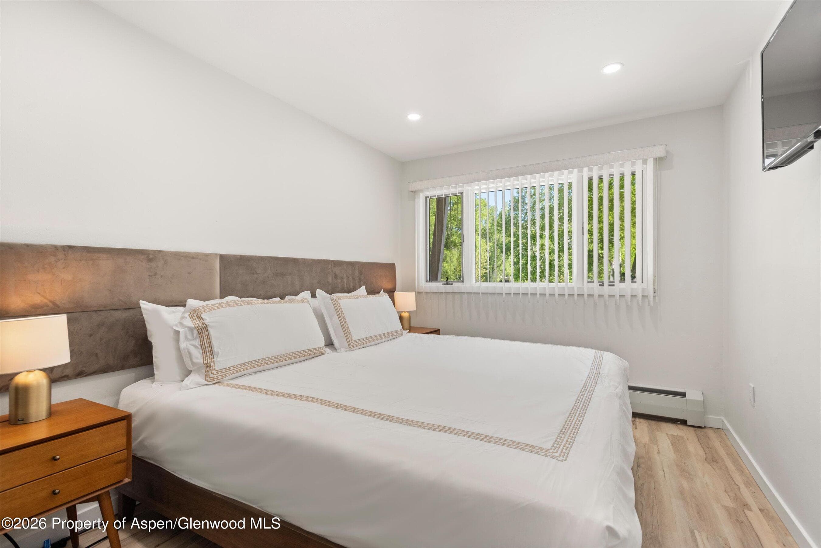100 E Dean Street 1d, Aspen, CO 81611 - Photo 14