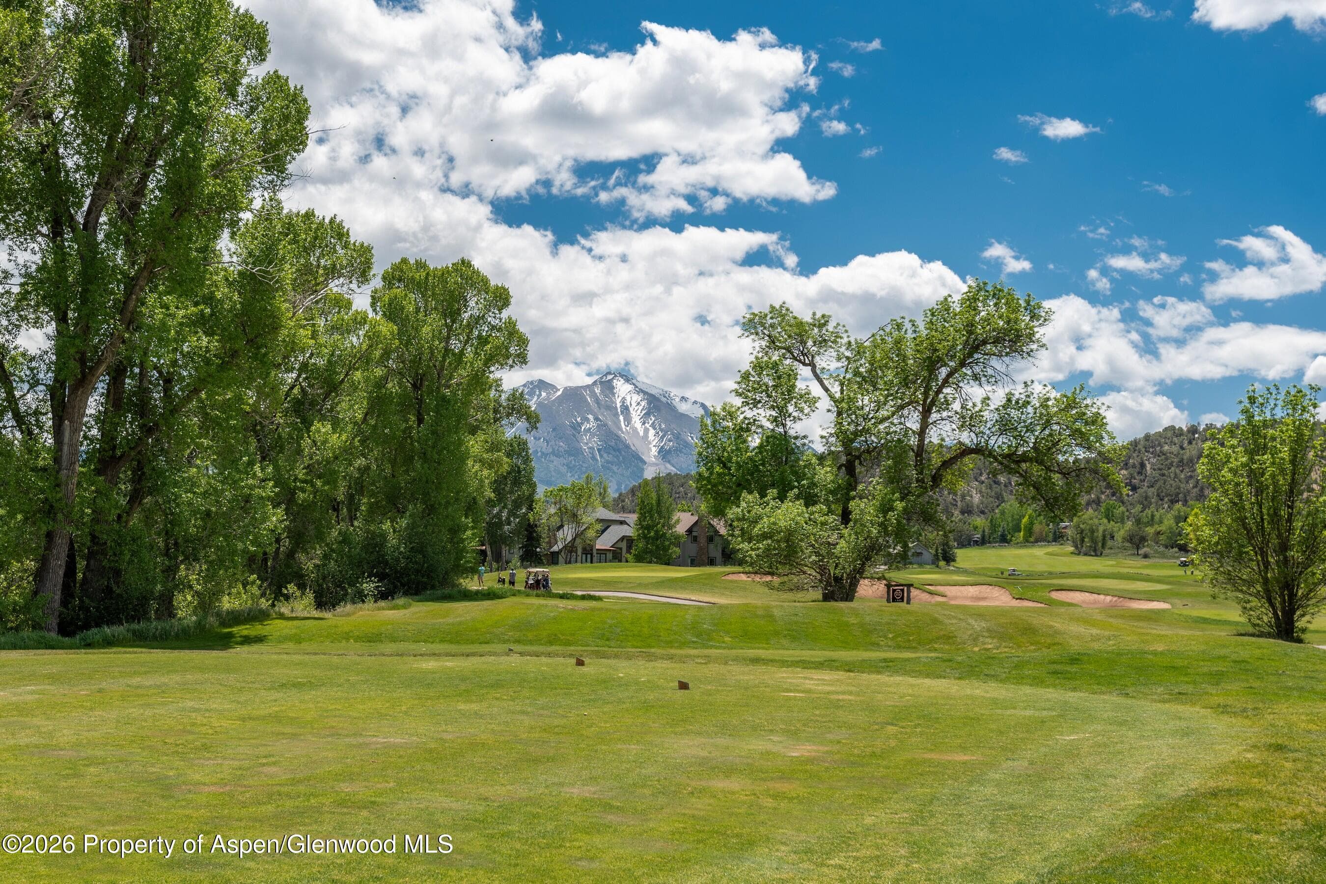 3420 Crystal Bridge Drive, Carbondale, CO 81623 - Photo 35