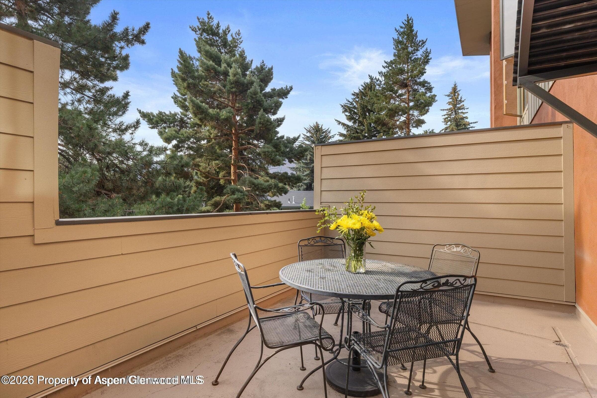 100 Midland Avenue 106, Basalt, CO 81621 - Photo 6
