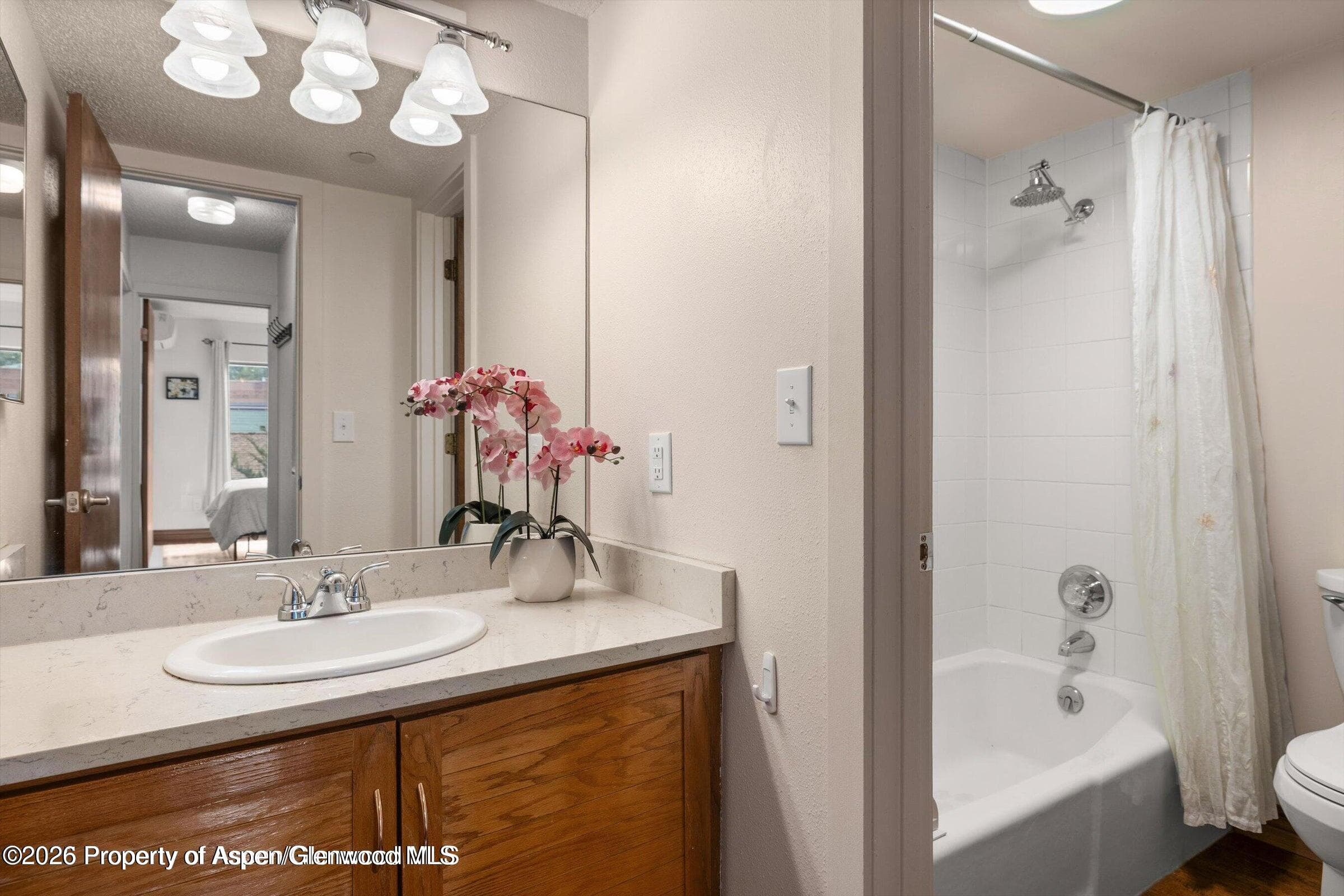 100 Midland Avenue 106, Basalt, CO 81621 - Photo 10