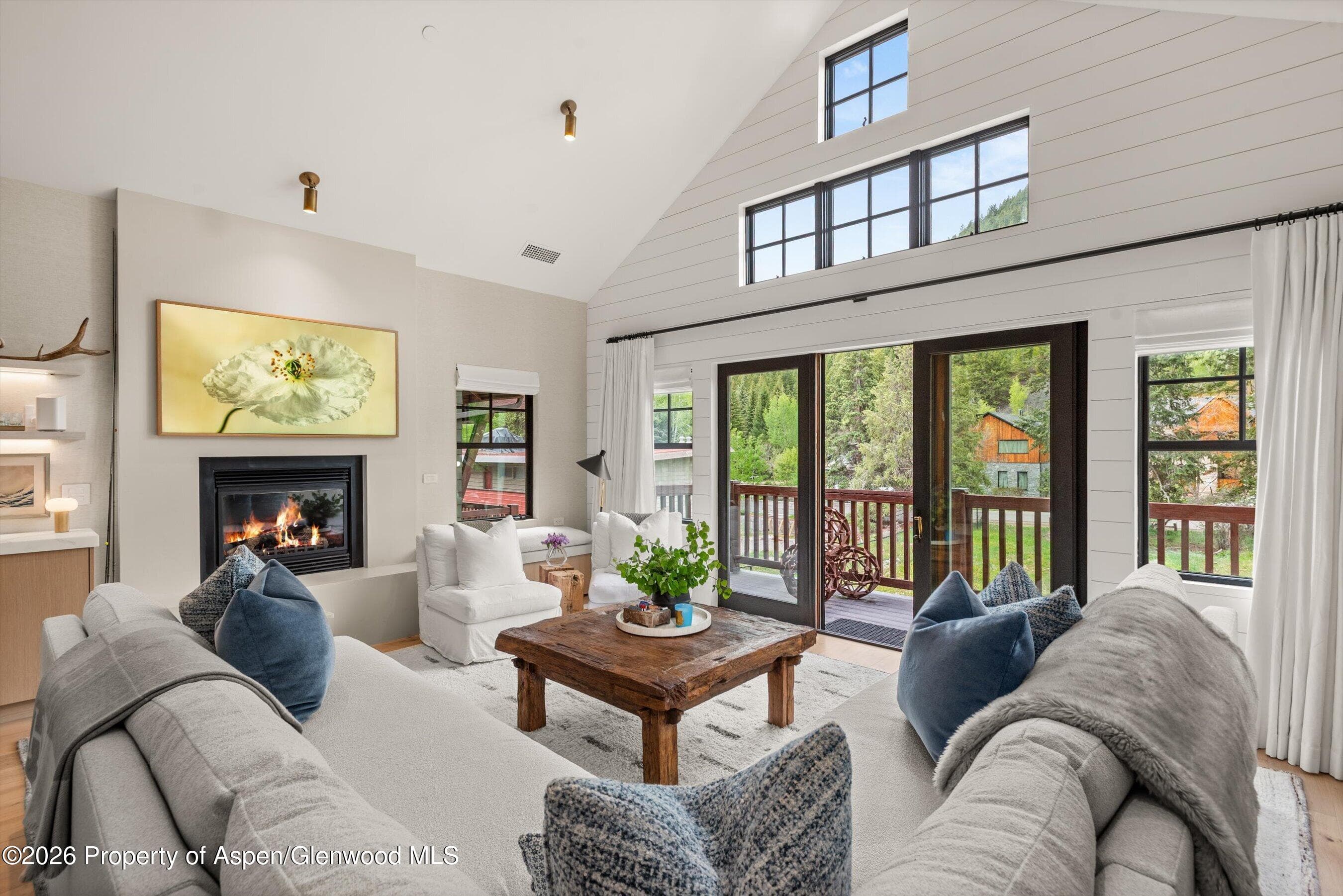 507 W Main Street C-201, Aspen, CO 81611 - Photo 5