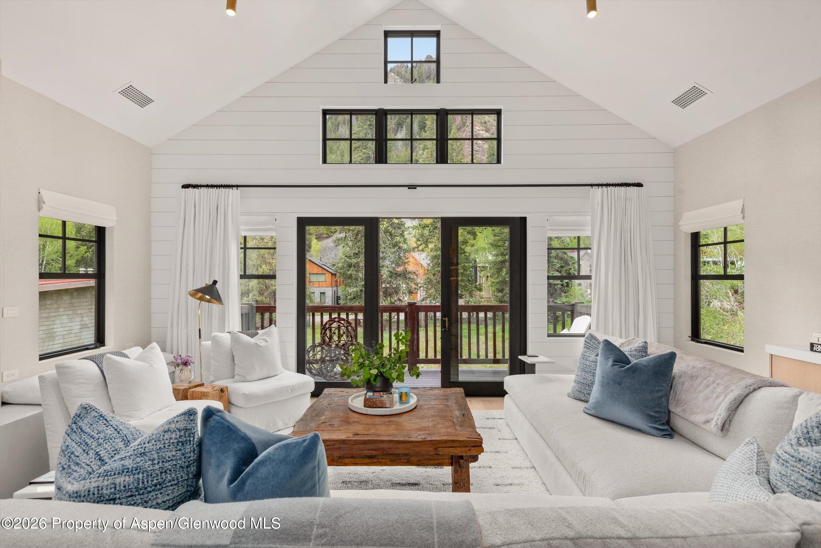 507 W Main Street C-201, Aspen, CO 81611 - Photo 4