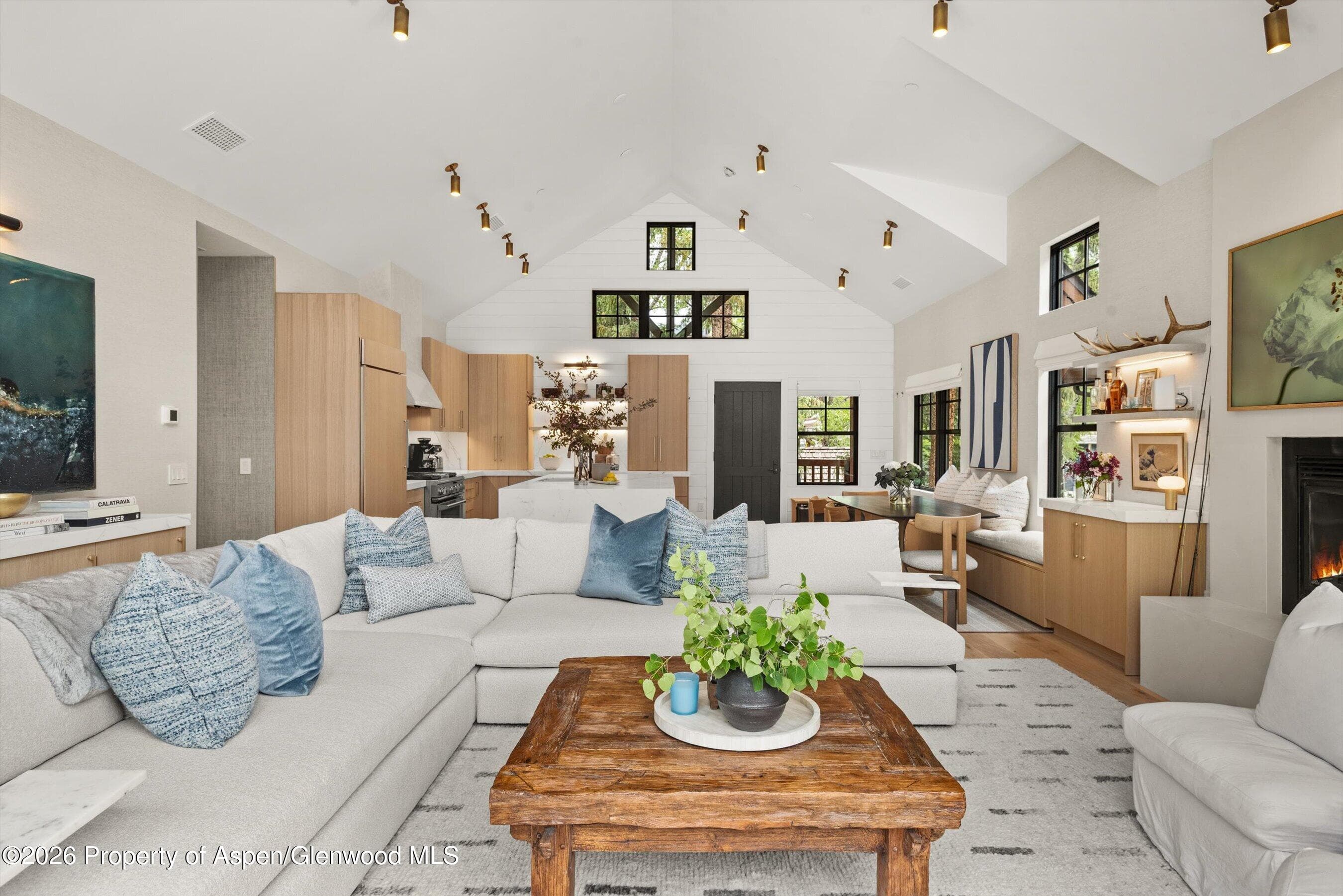 507 W Main Street C-201, Aspen, CO 81611 - Photo 11