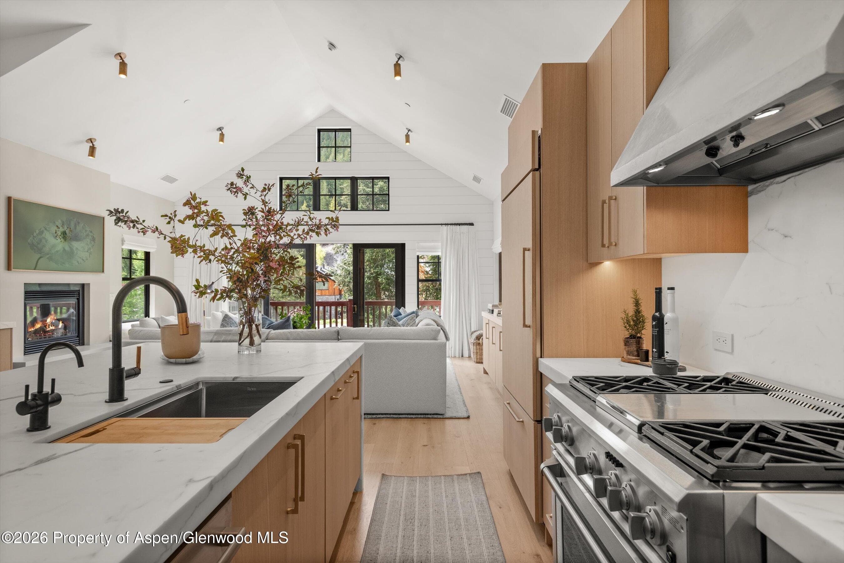 507 W Main Street C-201, Aspen, CO 81611 - Photo 19