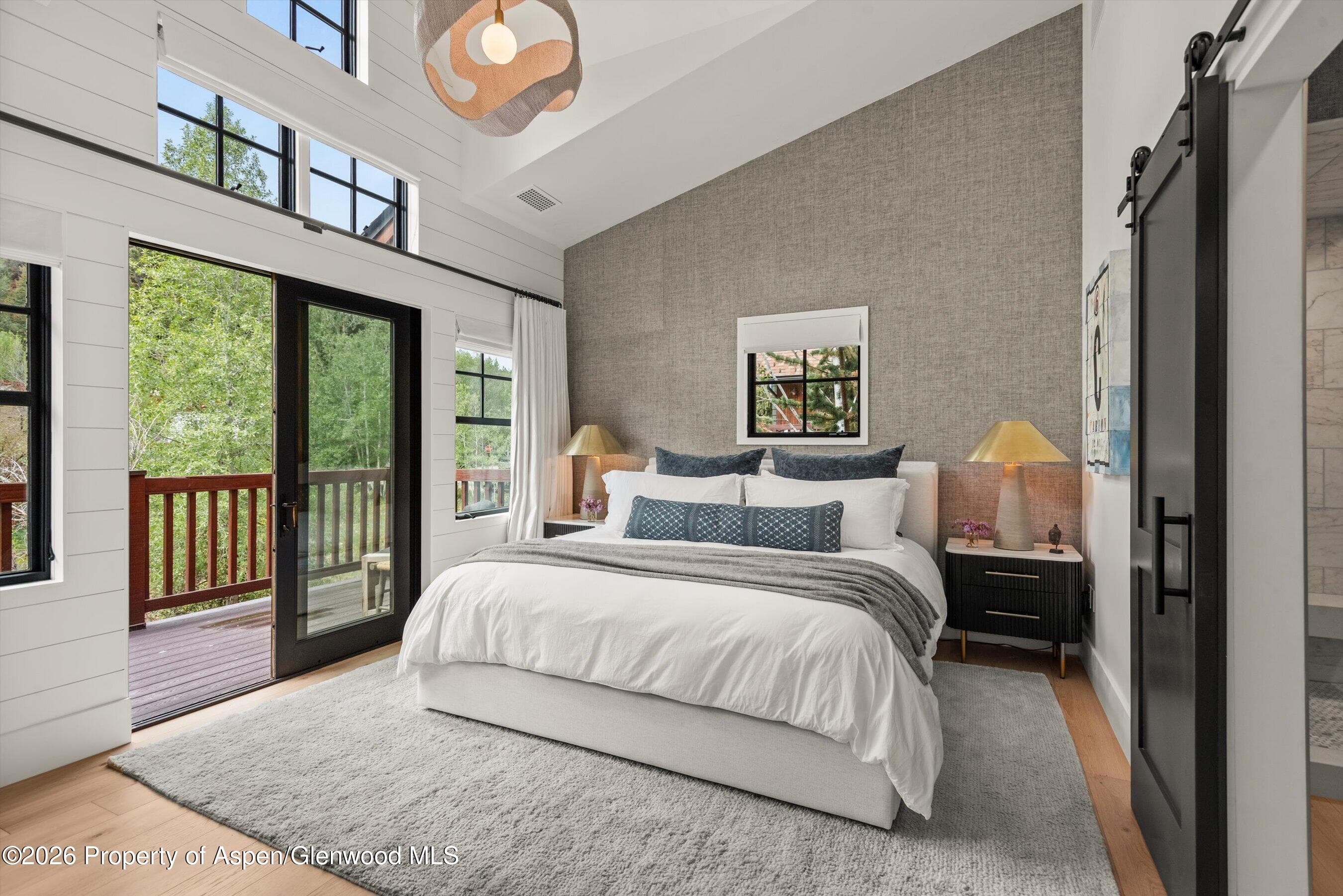 507 W Main Street C-201, Aspen, CO 81611 - Photo 21