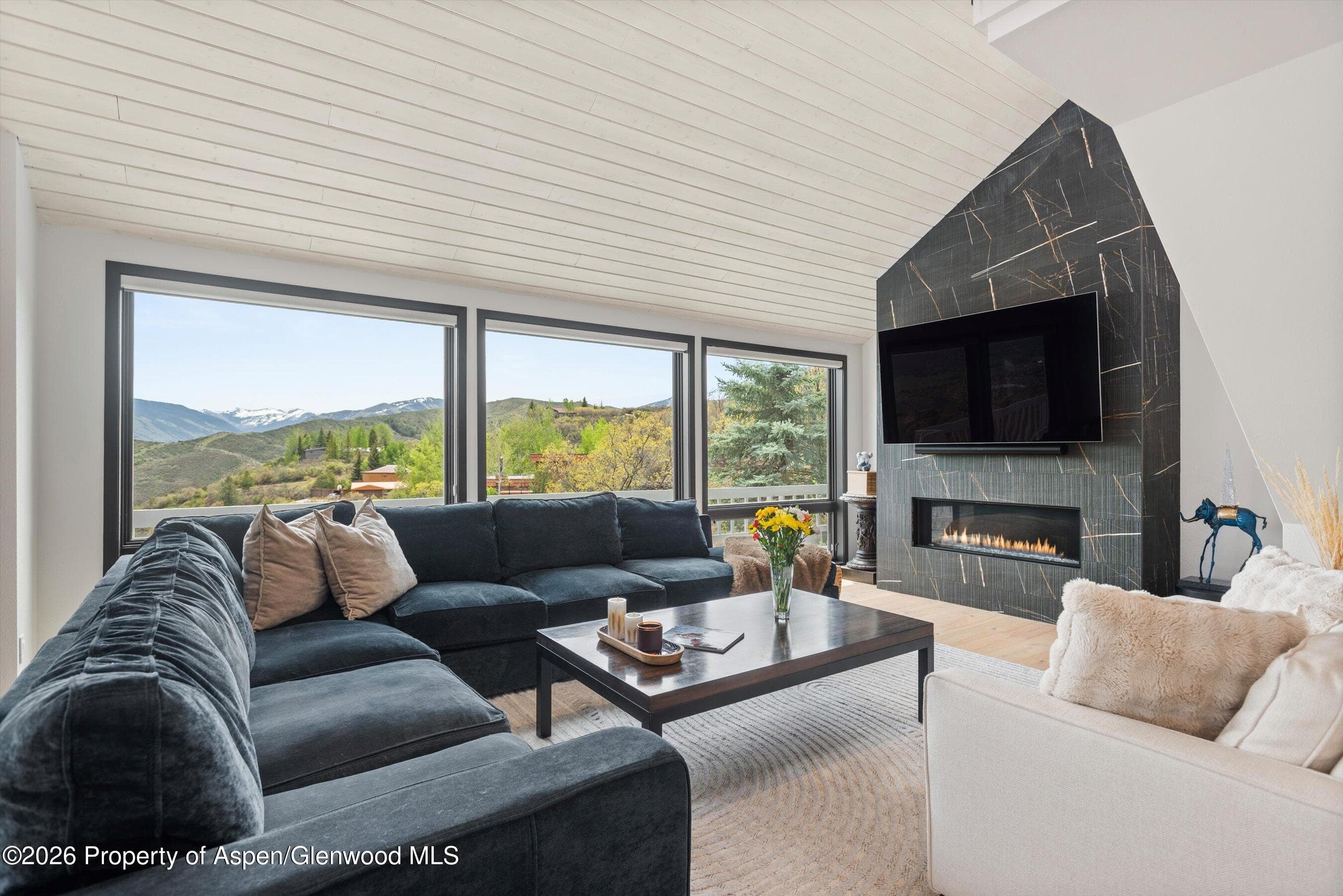 450 Solar Way, Aspen, CO 81611 - Photo 4