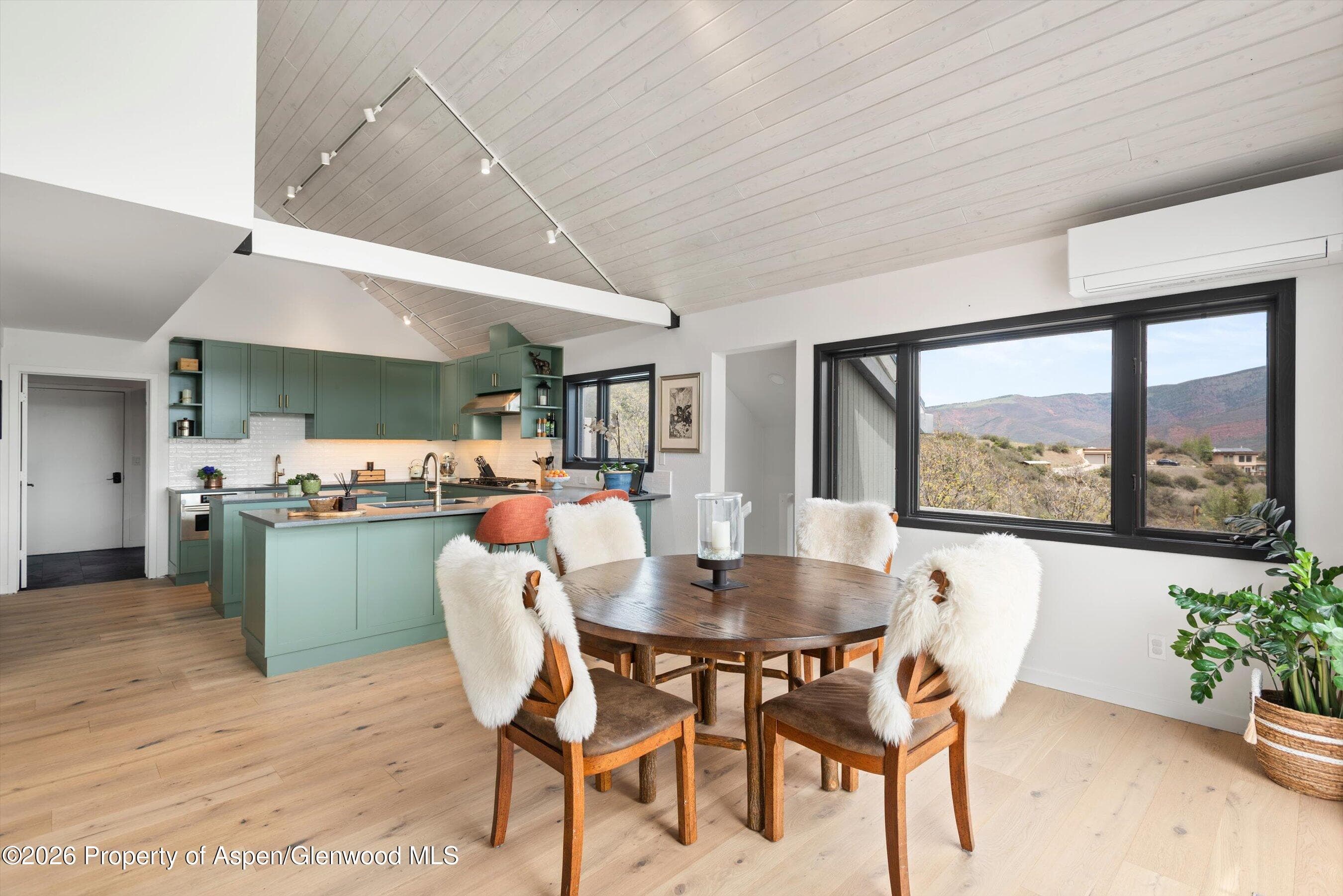 450 Solar Way, Aspen, CO 81611 - Photo 12