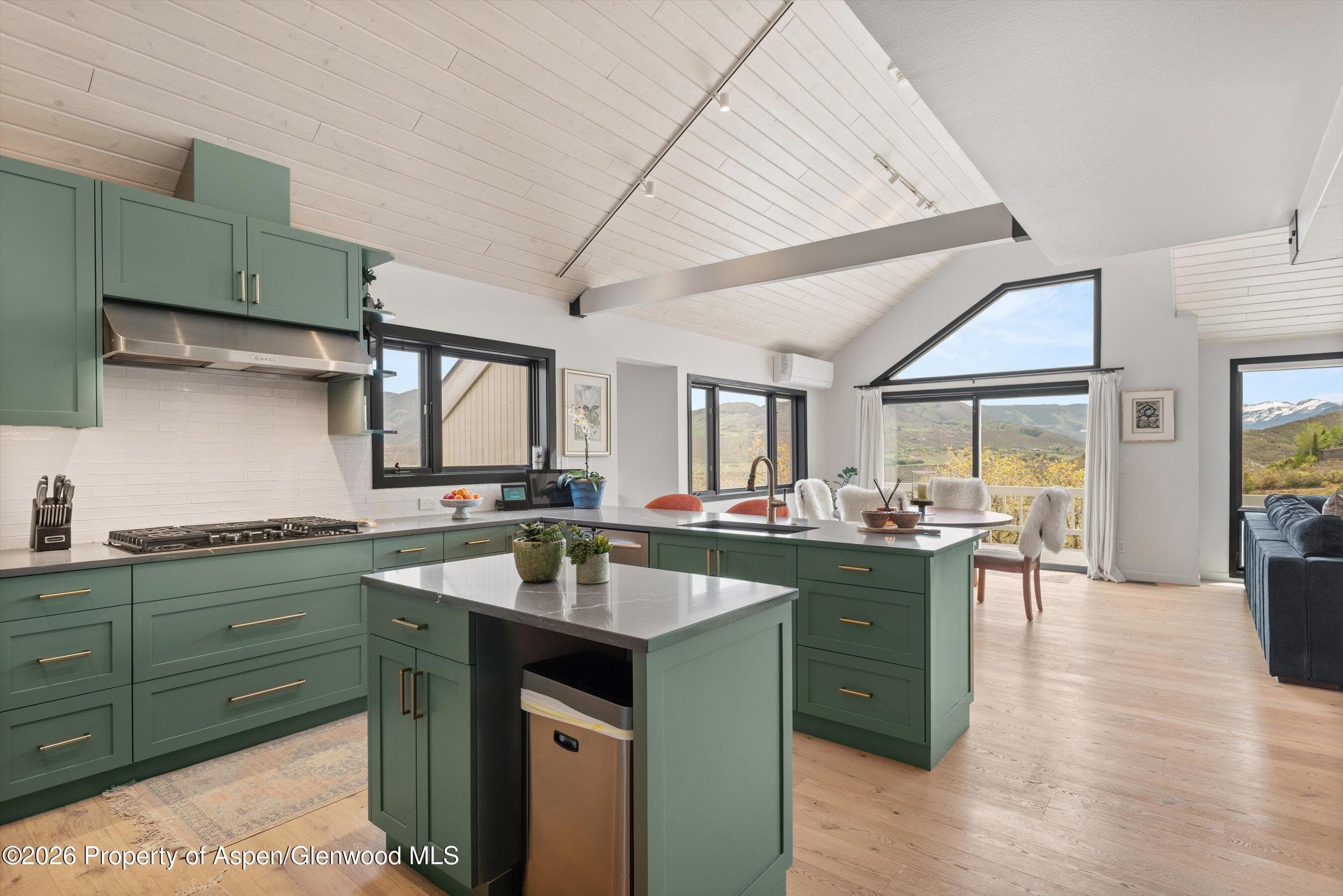 450 Solar Way, Aspen, CO 81611 - Photo 15