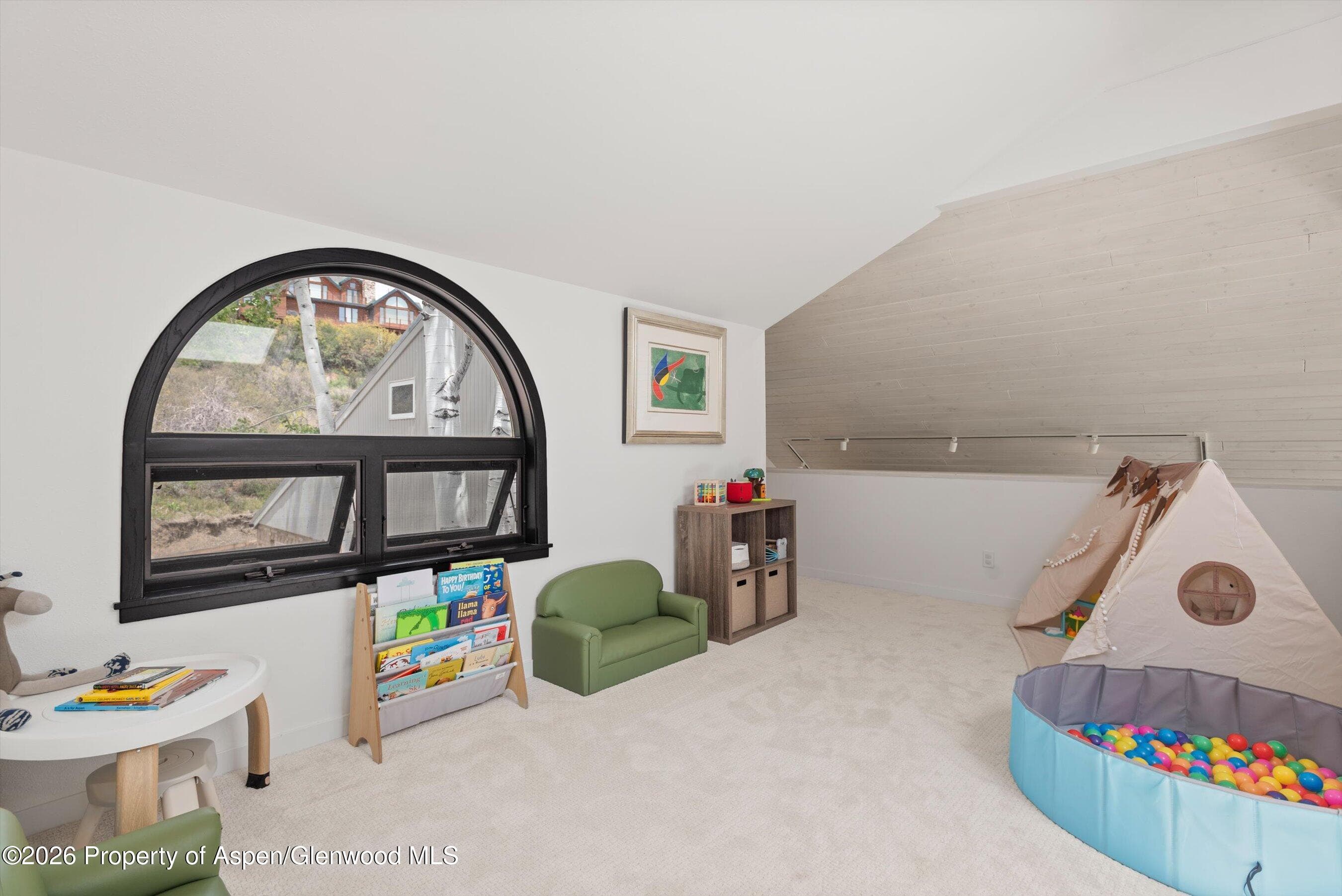 450 Solar Way, Aspen, CO 81611 - Photo 26