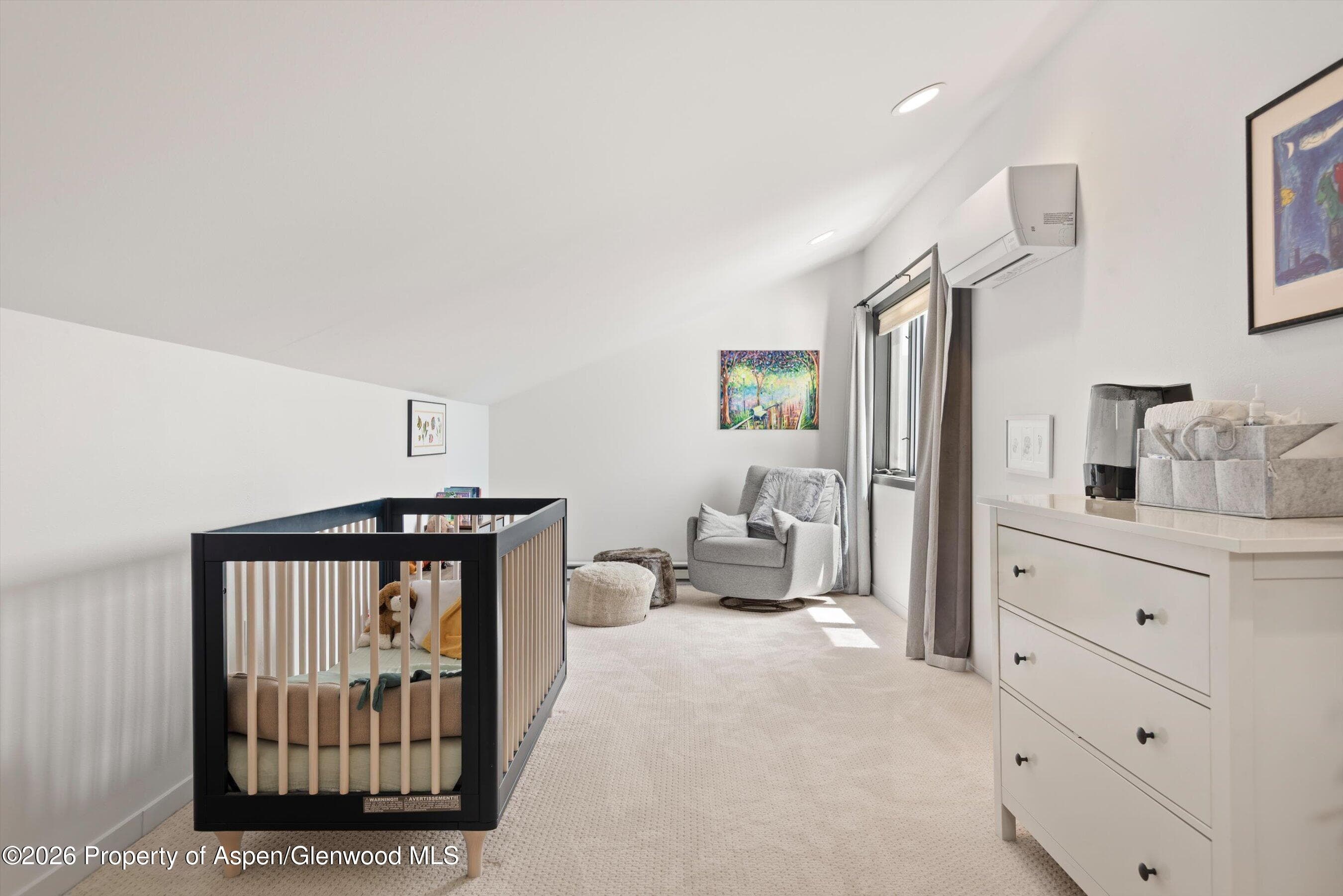 450 Solar Way, Aspen, CO 81611 - Photo 28