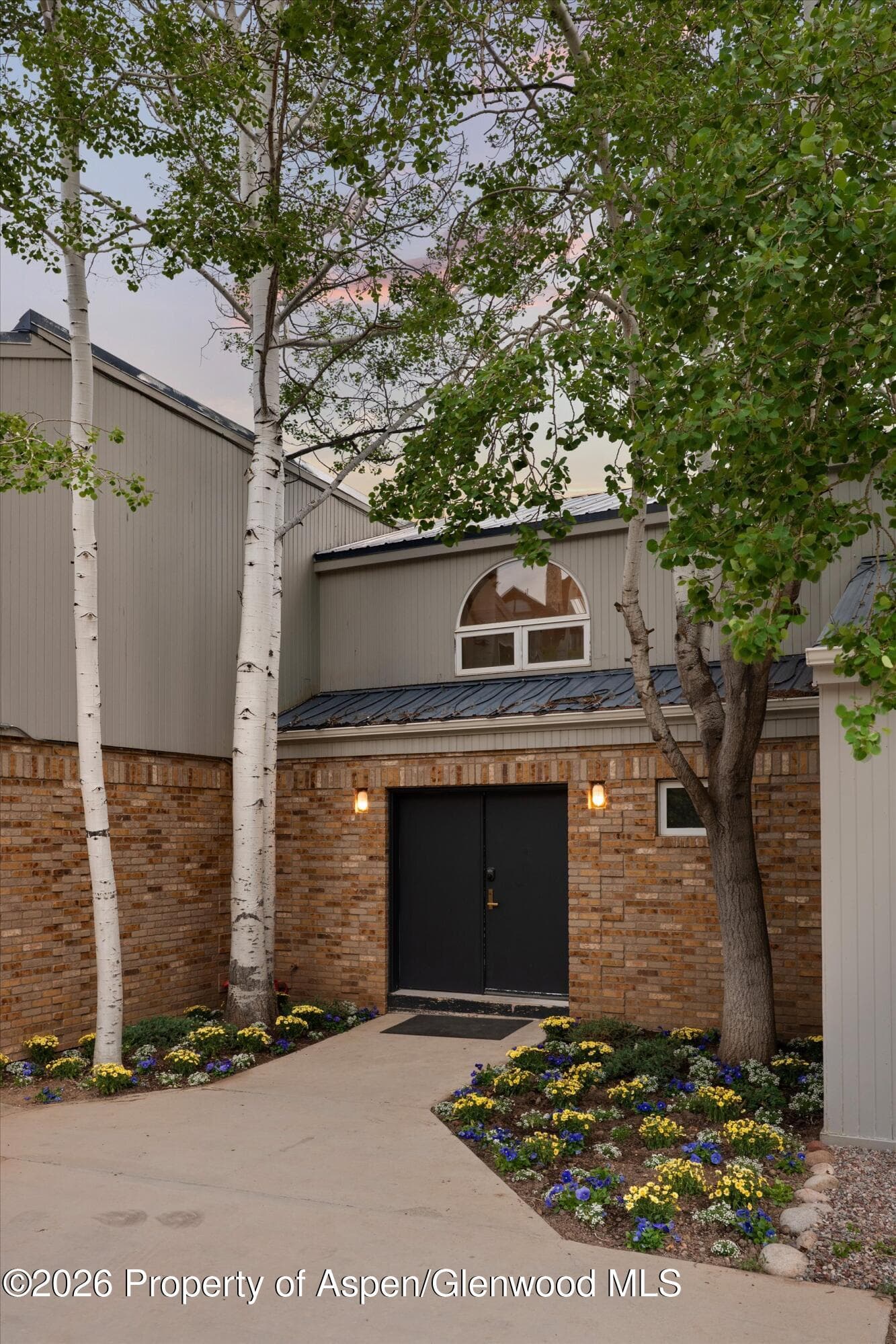 450 Solar Way, Aspen, CO 81611 - Photo 41