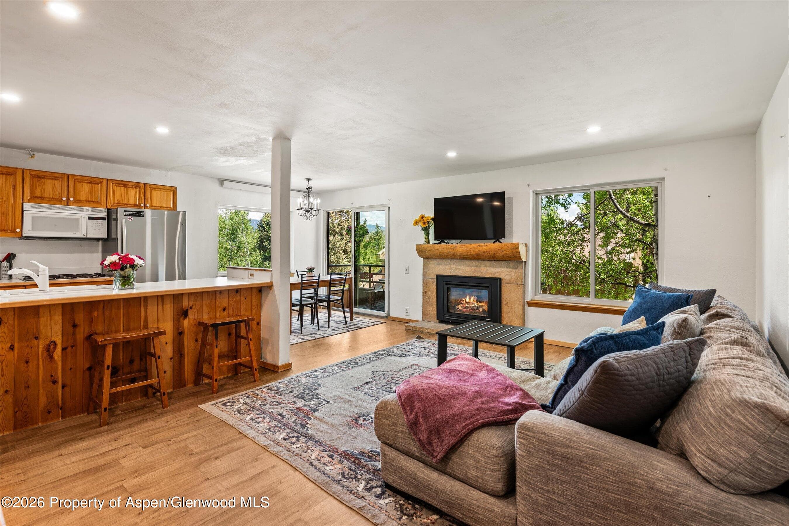 35 Lower Woodbridge Road U173, Snowmass Village, CO 81615 - Photo 1