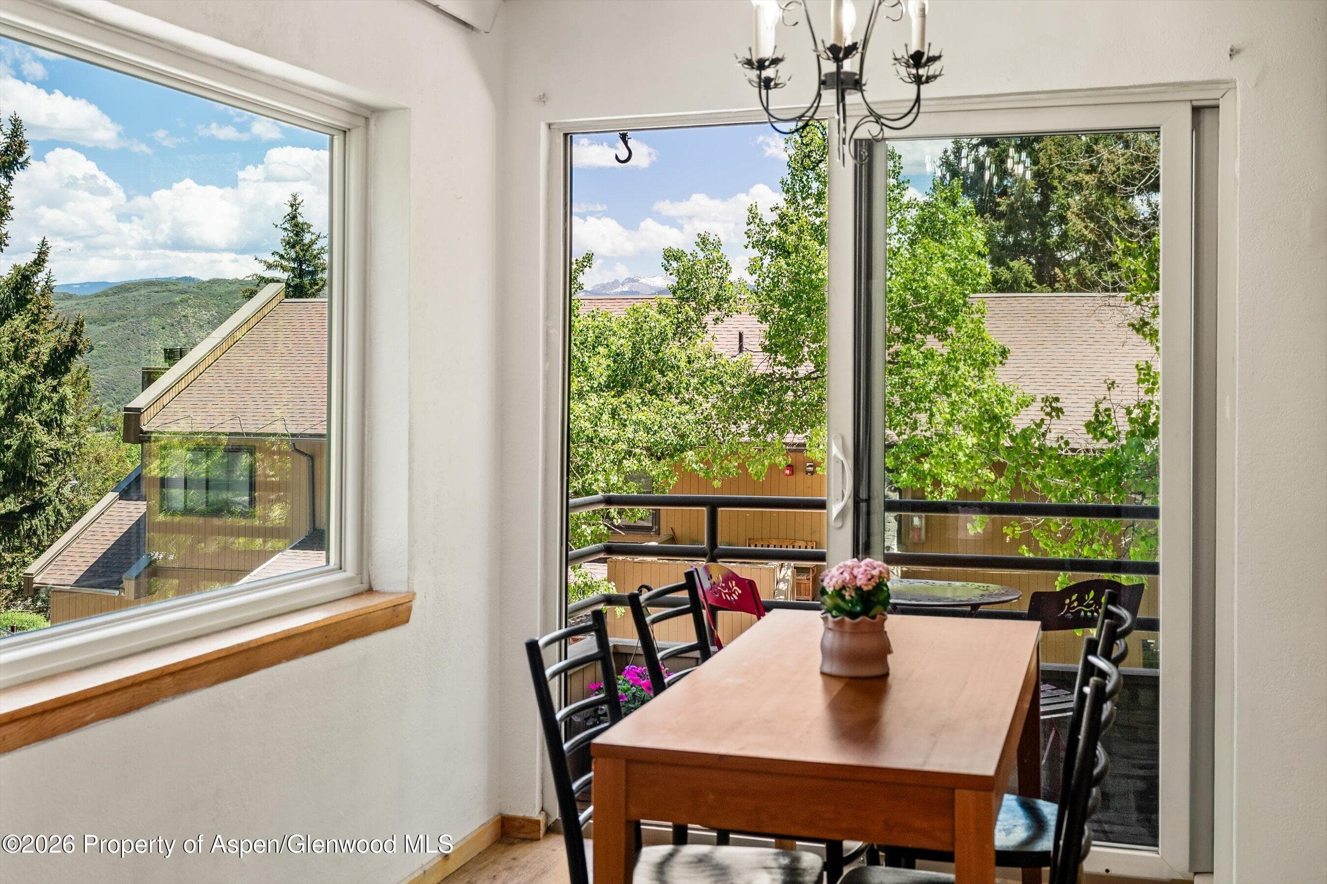 35 Lower Woodbridge Road U173, Snowmass Village, CO 81615 - Photo 12