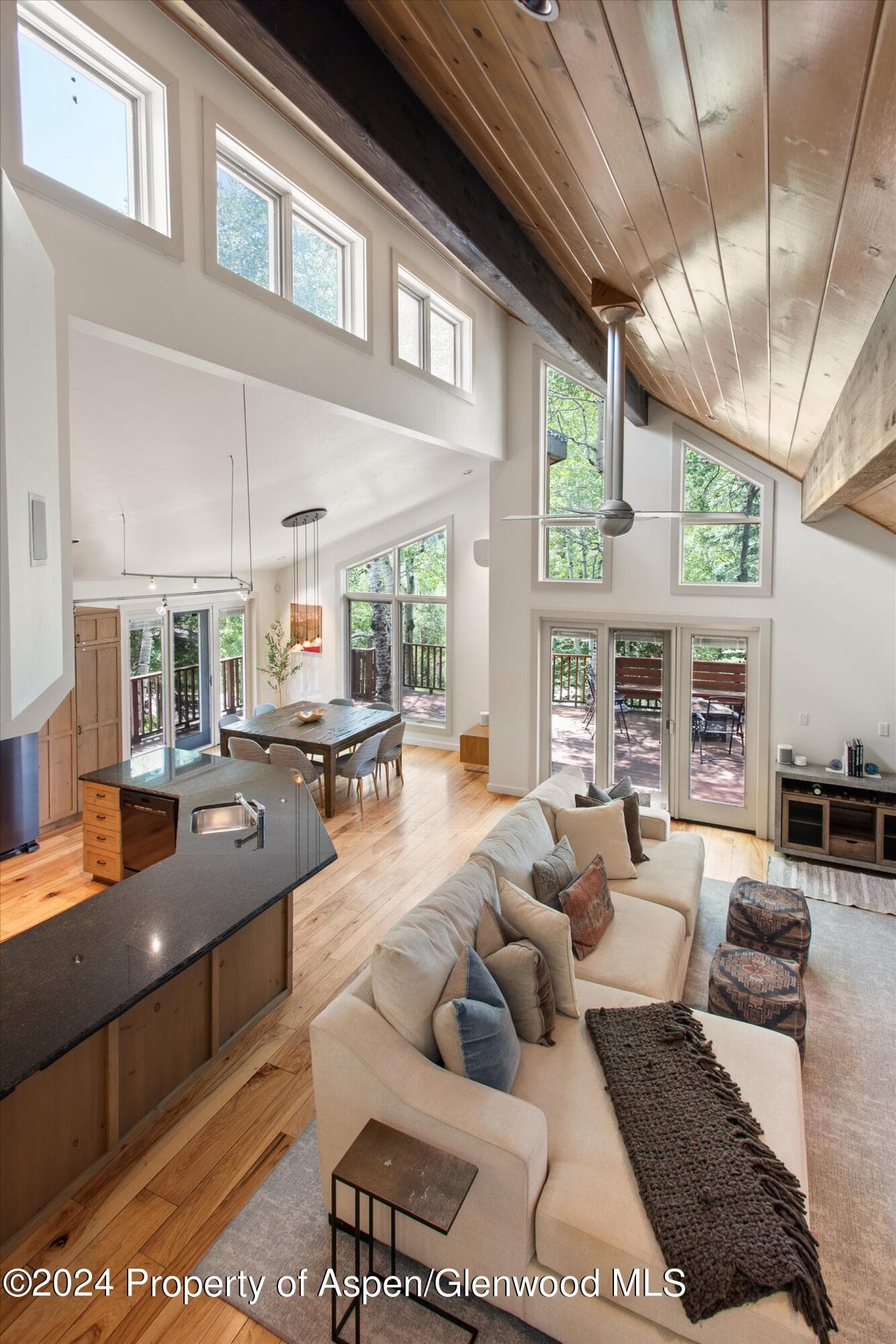 314 Mountain Laurel Drive, Aspen, CO 81611 - Photo 5