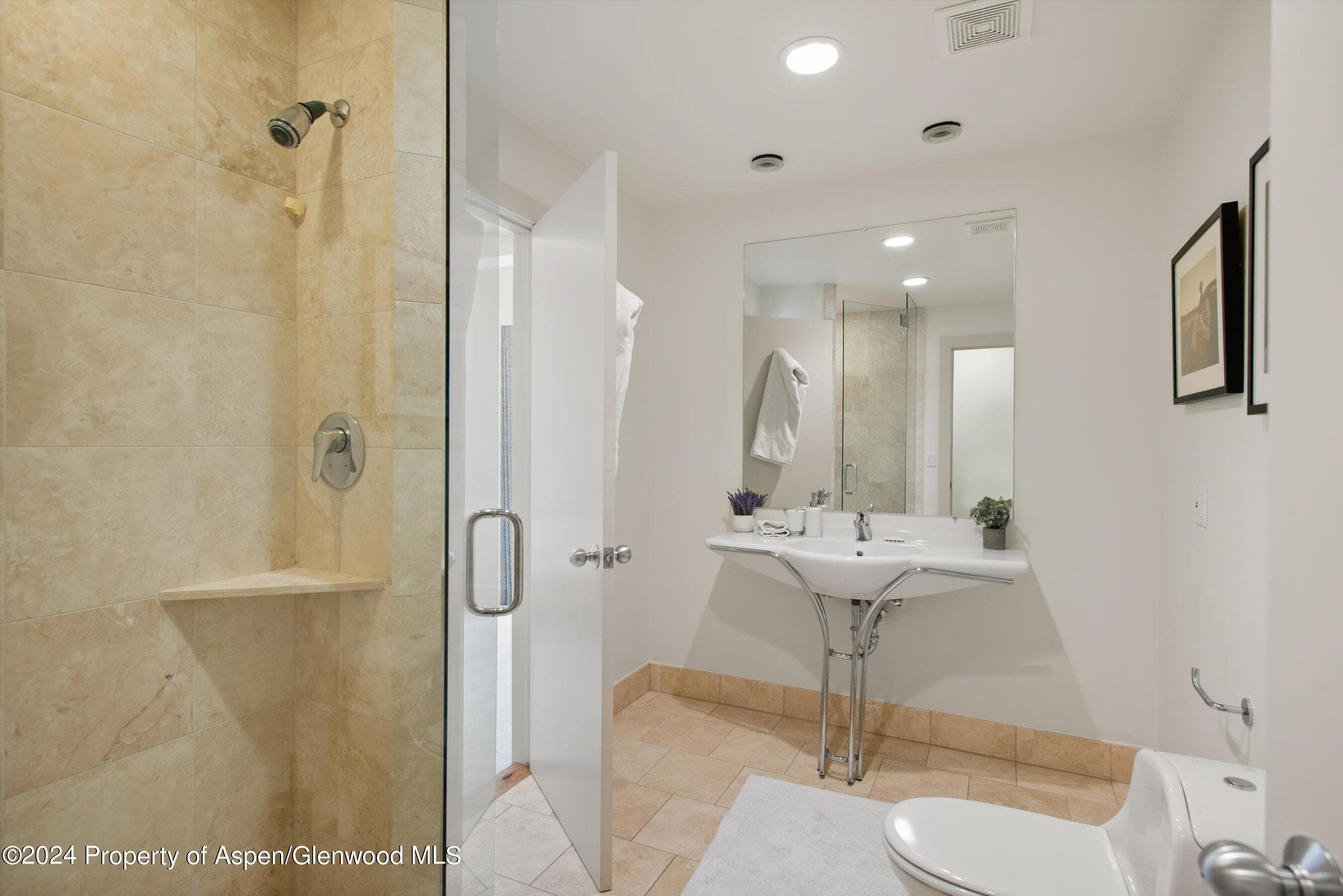 314 Mountain Laurel Drive, Aspen, CO 81611 - Photo 28