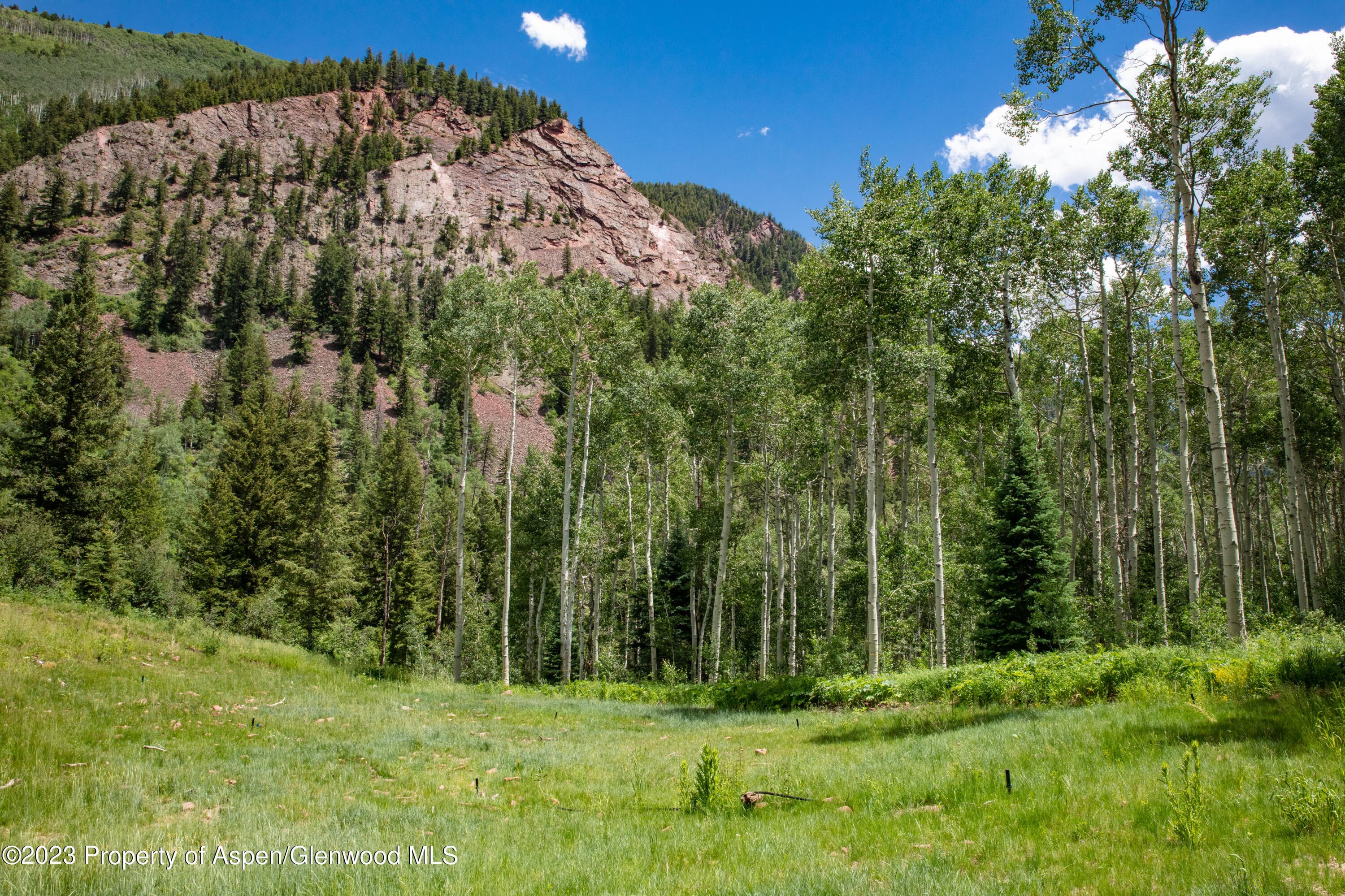 640 S Hayden Road, Aspen, CO 81611 - Photo 22