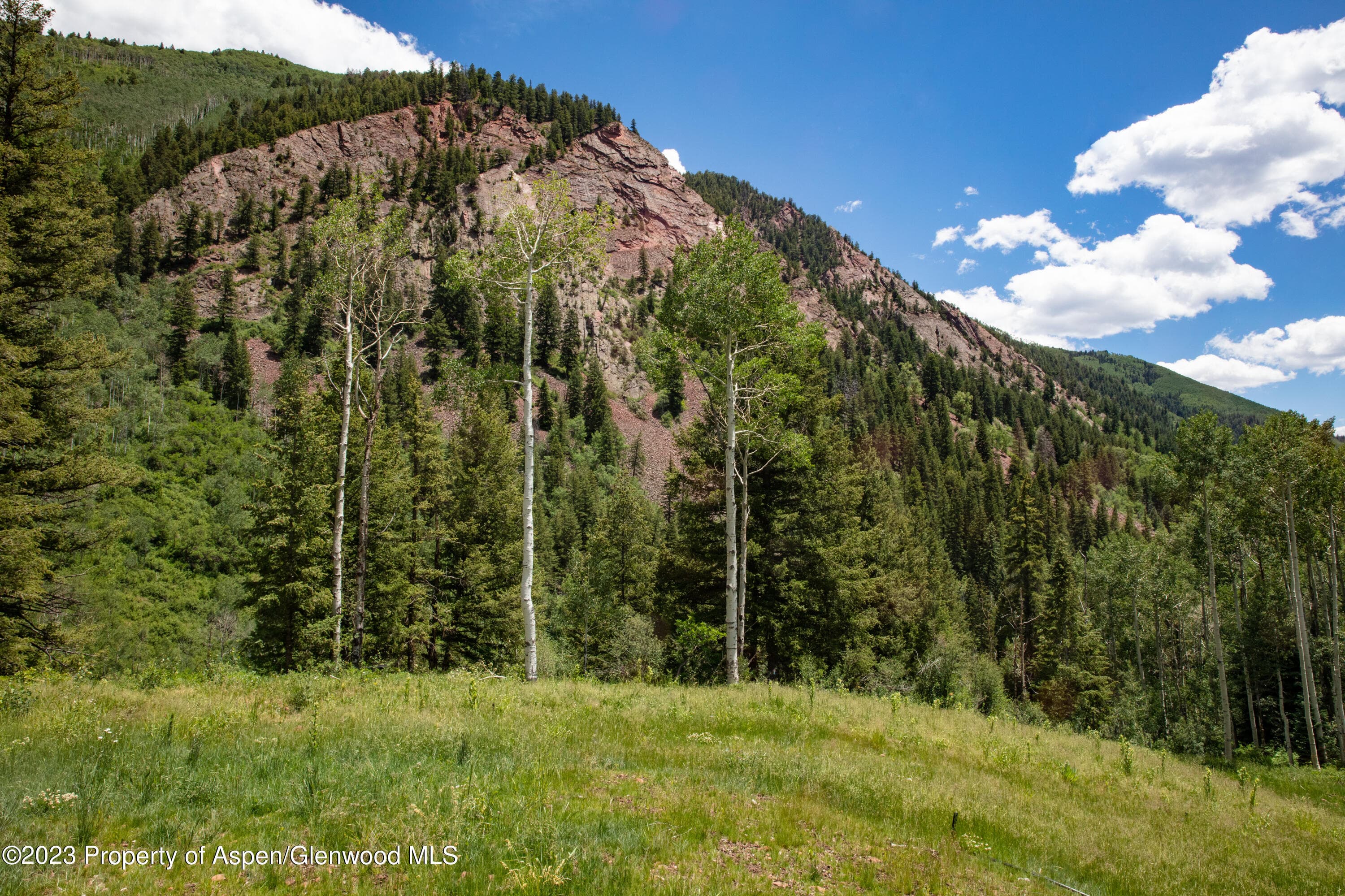 640 S Hayden Road, Aspen, CO 81611 - Photo 23