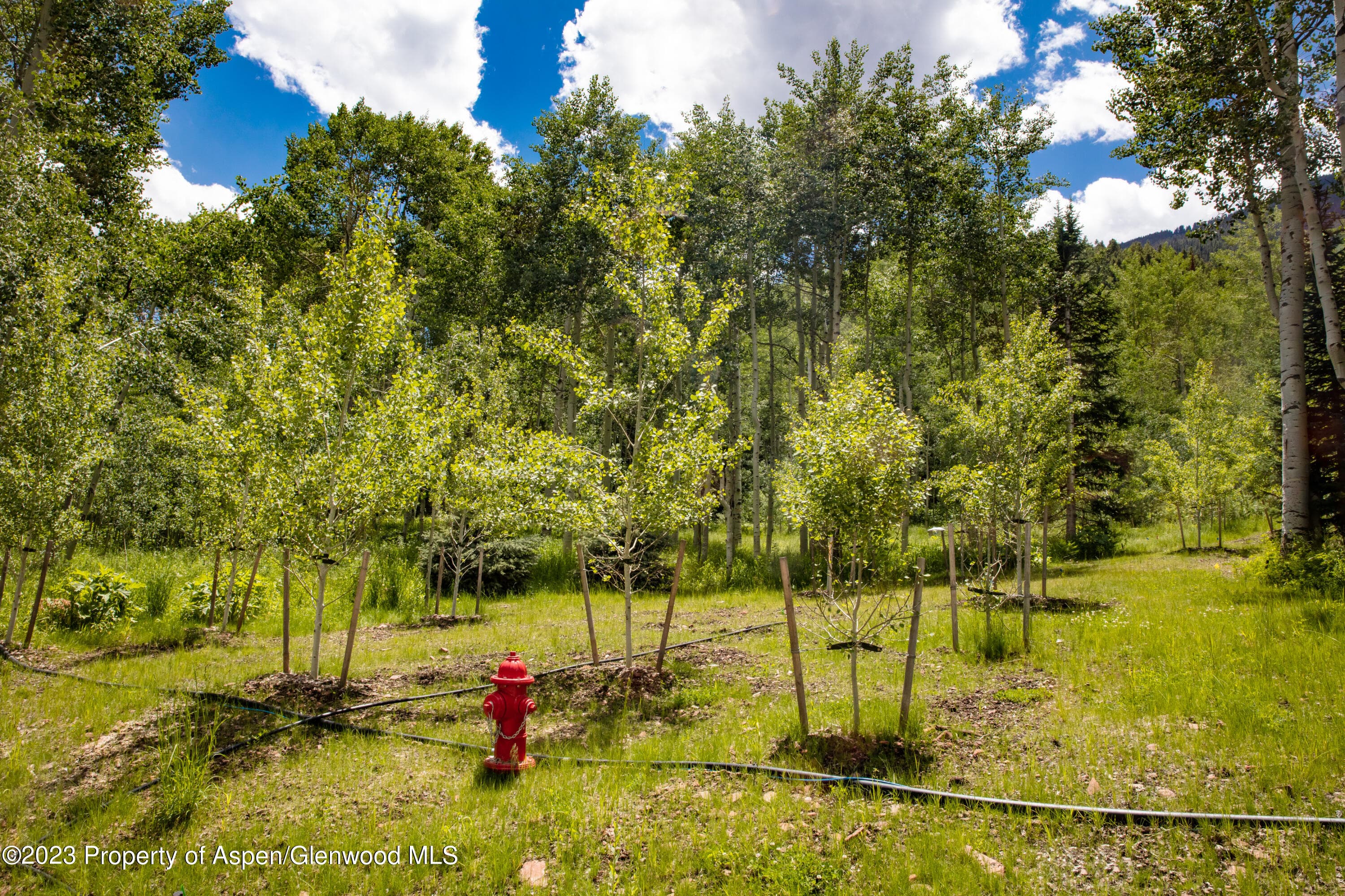 640 S Hayden Road, Aspen, CO 81611 - Photo 26