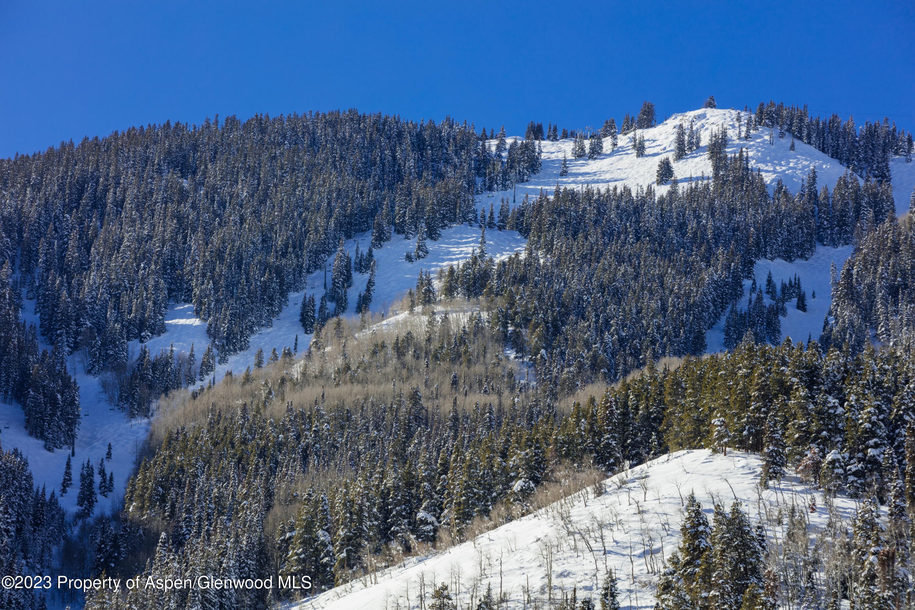 640 S Hayden Road, Aspen, CO 81611 - Photo 30