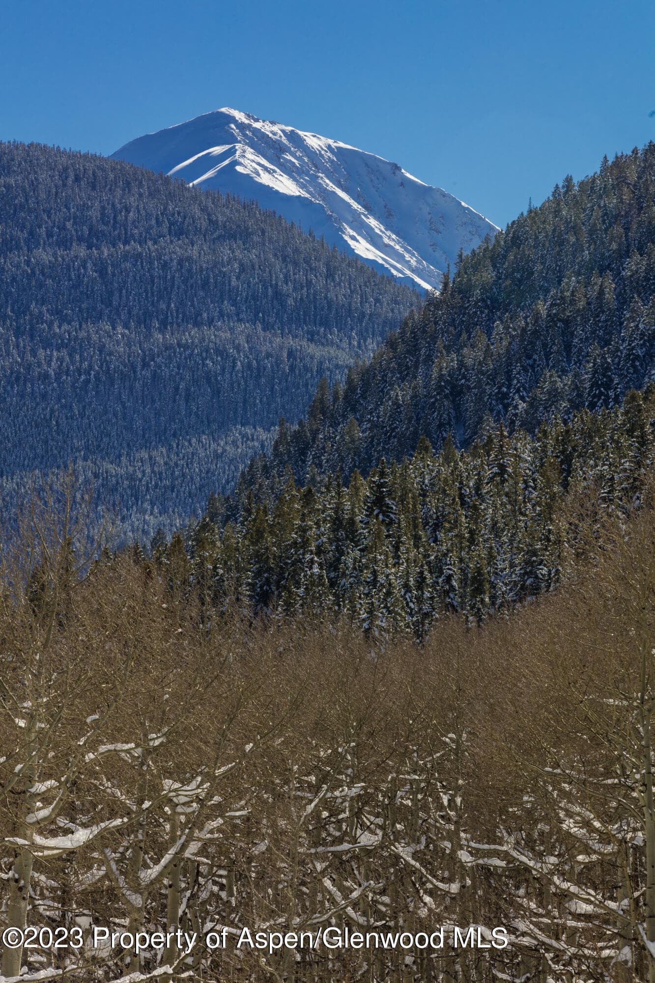 640 S Hayden Road, Aspen, CO 81611 - Photo 32