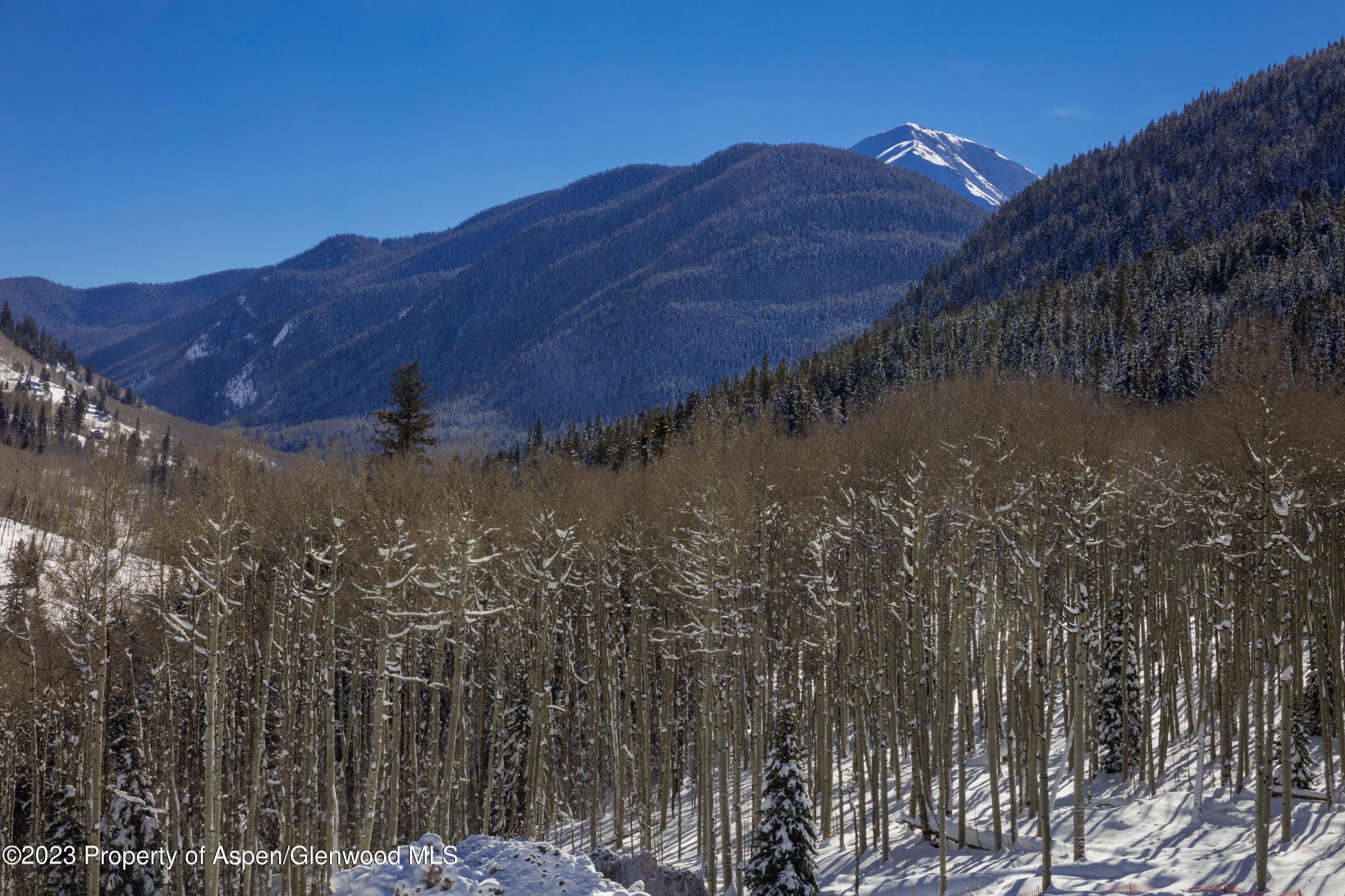 640 S Hayden Road, Aspen, CO 81611 - Photo 34